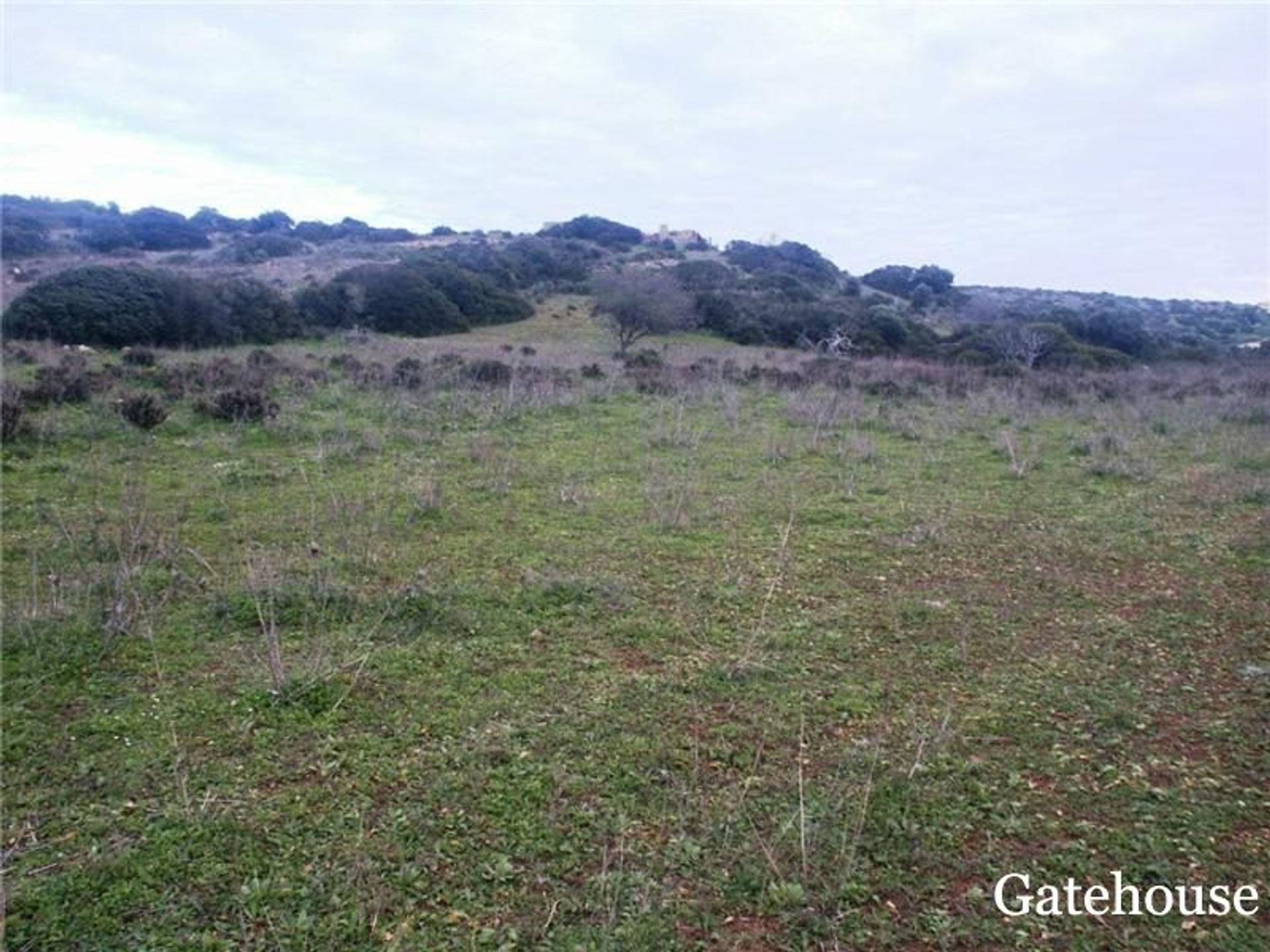 Land in Salema, Faro 10833999