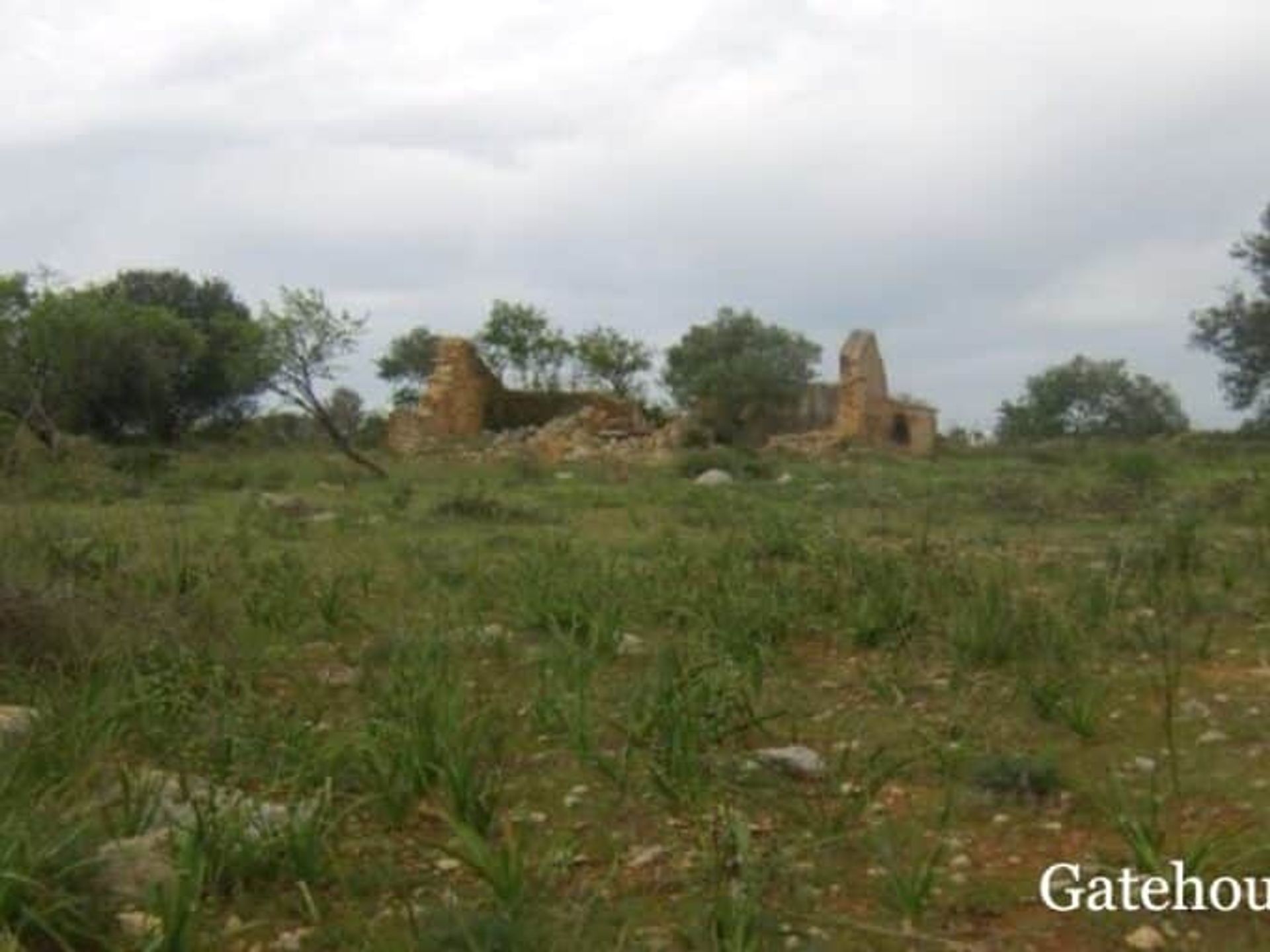 Terre dans Paderne, Faro 10834026