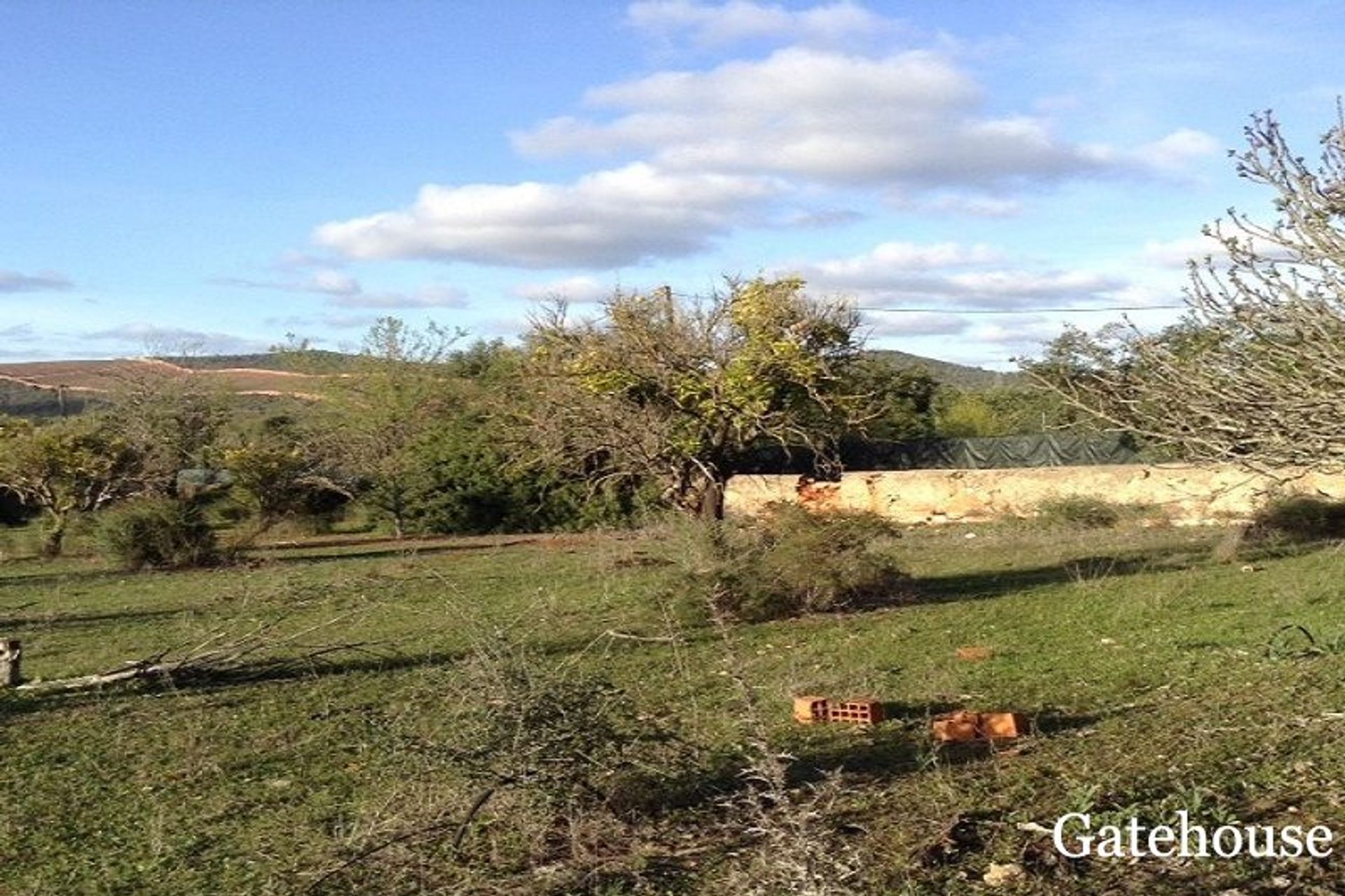 Terre dans Paderne, Faro 10834039