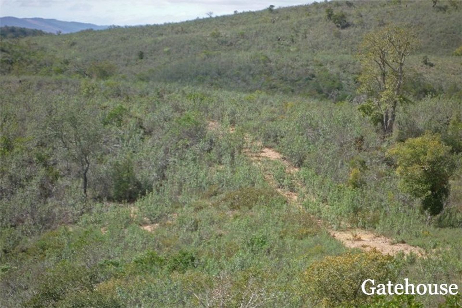 Land im Sao Marcos da Serra, Faro 10834104