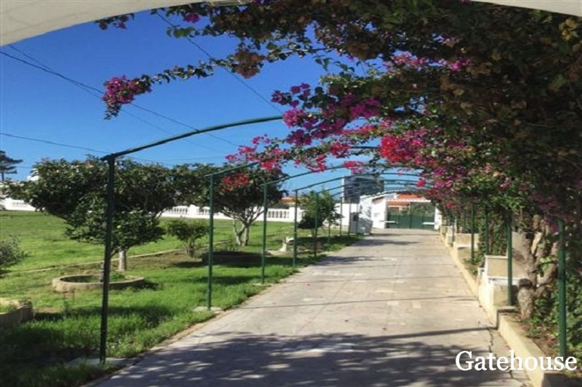 casa en sagres, Faraón 10834125