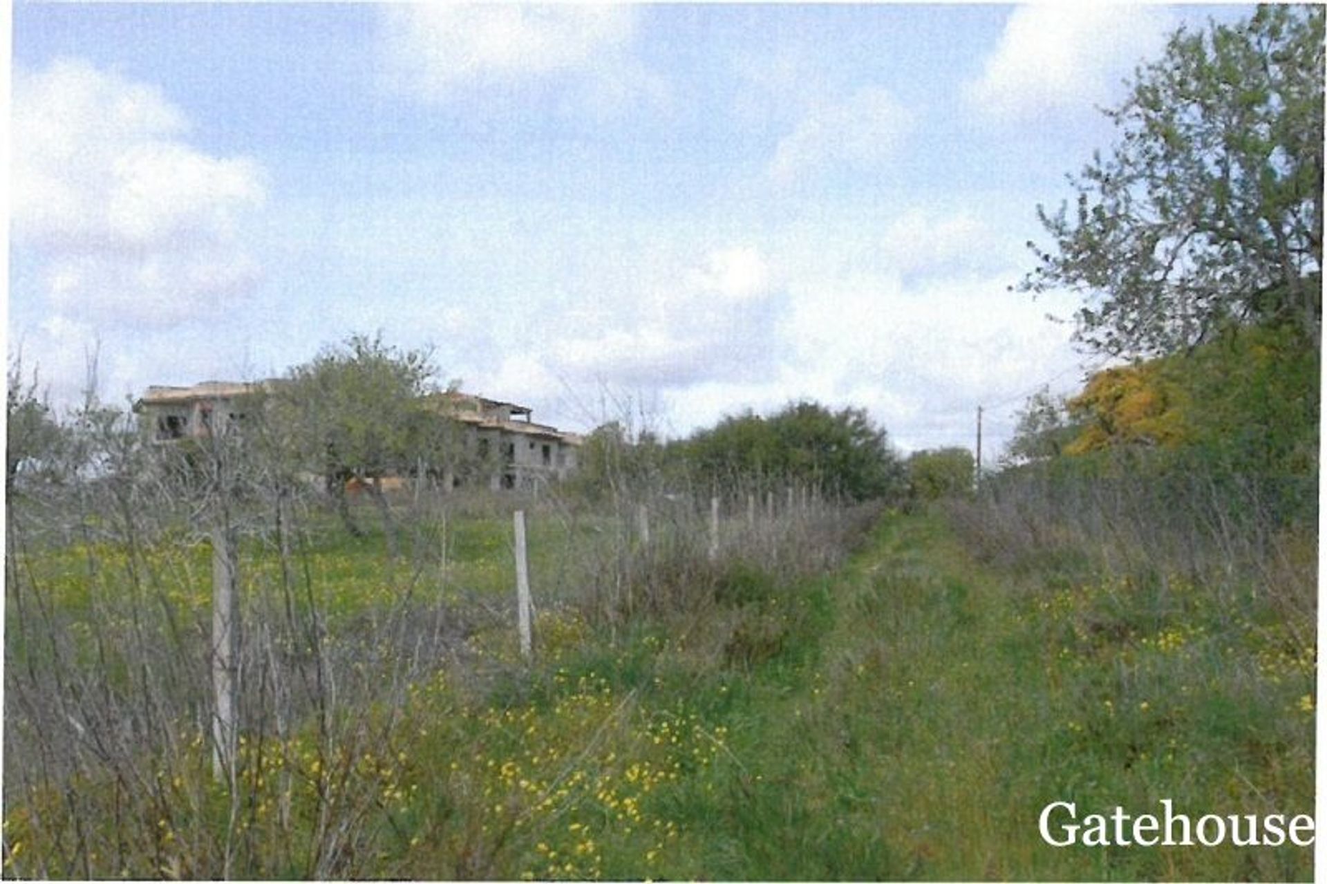 Land in Espiche, Faro 10834141