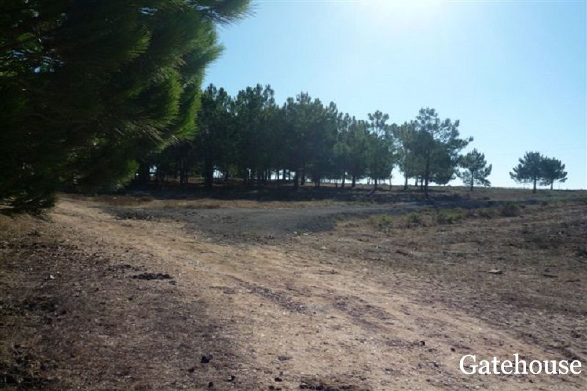 Land in Vila do Bispo, Faro District 10834154