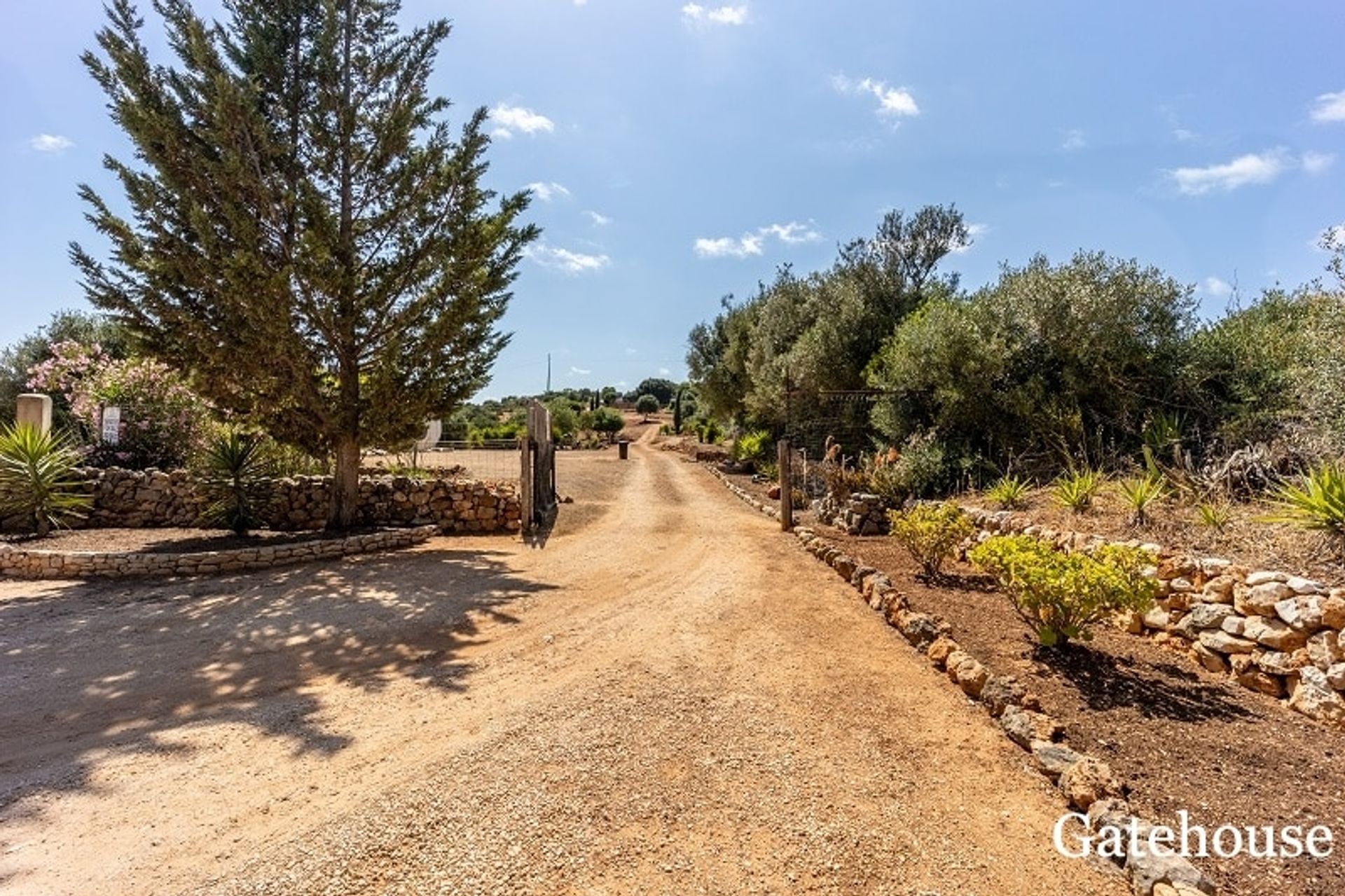 Tanah di Vila do Bispo, Faro District 10834160