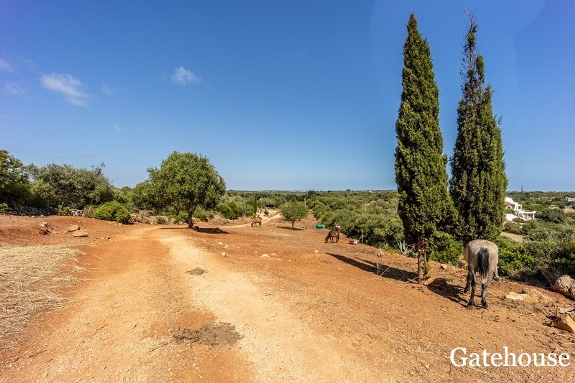 Tanah di Vila do Bispo, Faro District 10834160