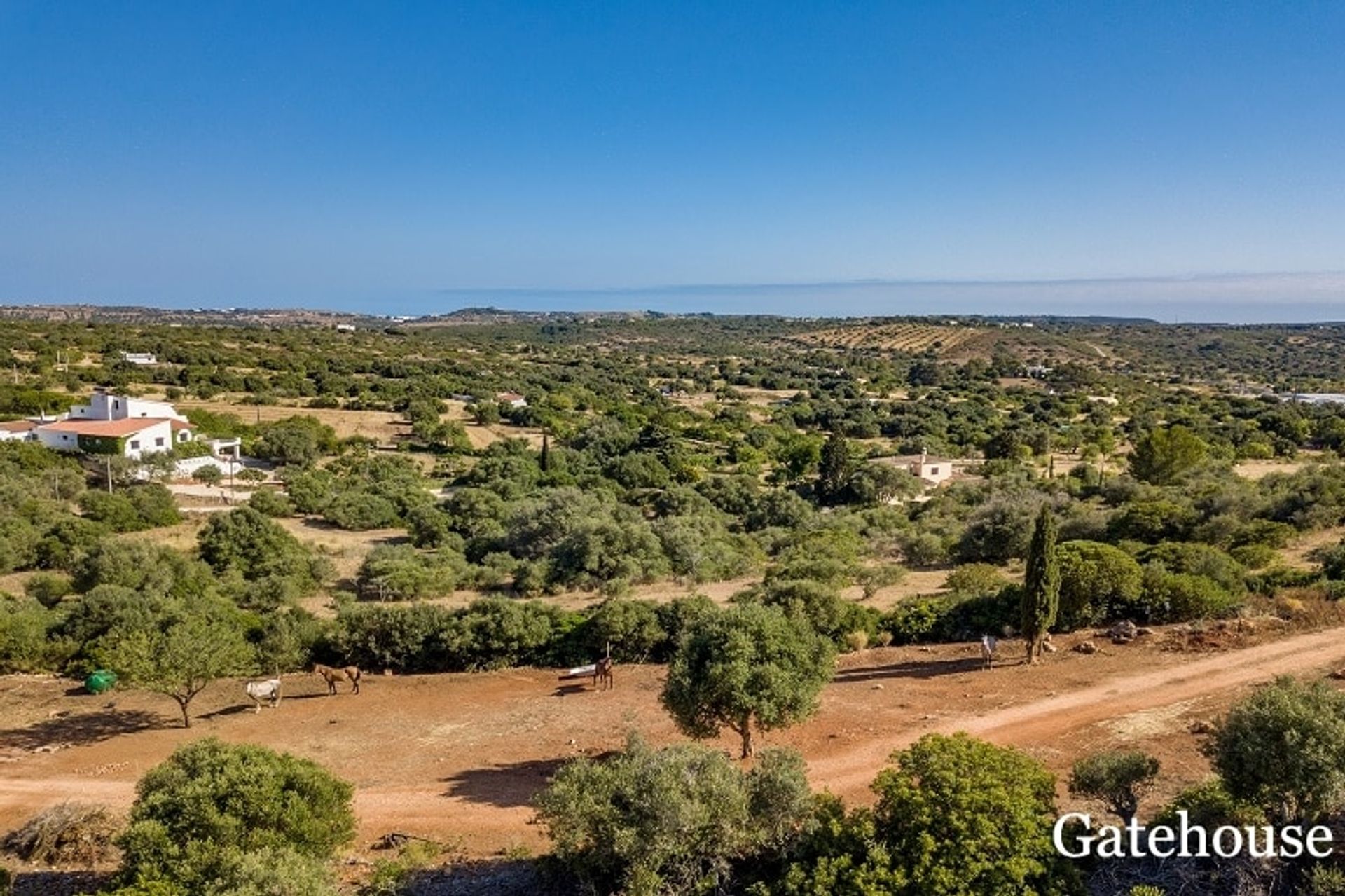 Tanah di Vila do Bispo, Faro District 10834160