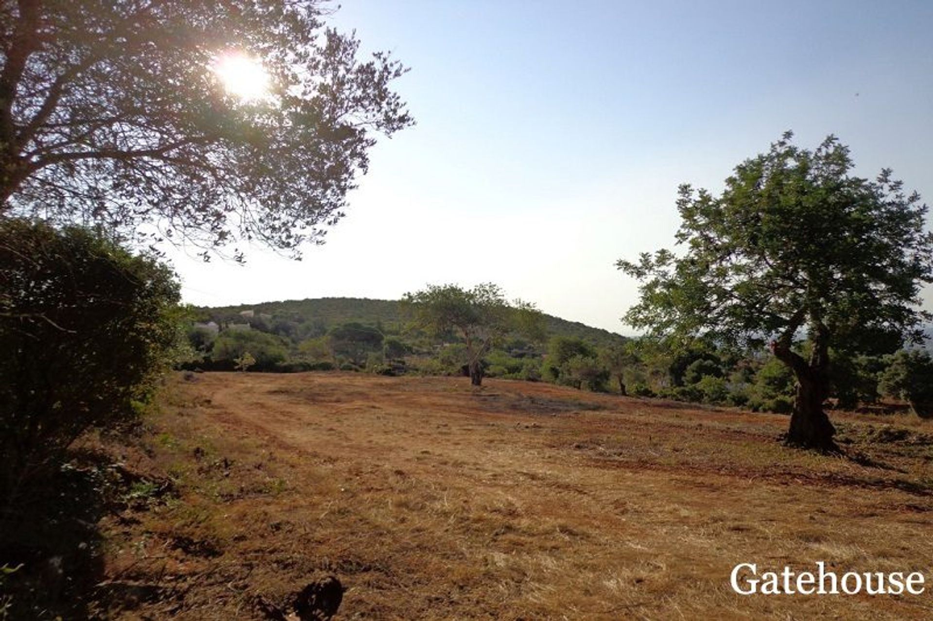 Land i Santa Bárbara de Nexe, Faro 10834186