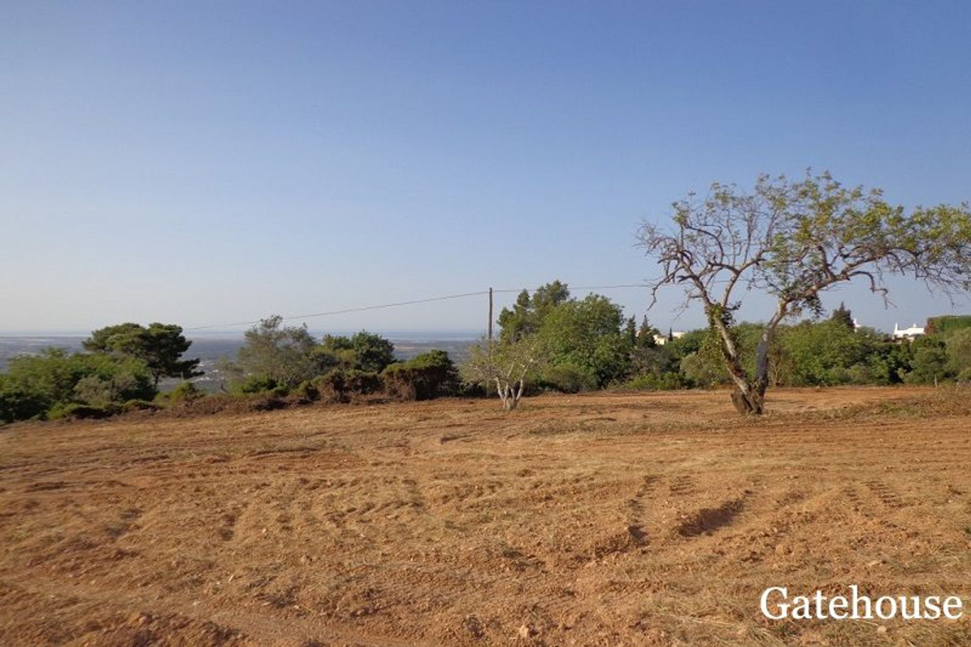 Land i Santa Bárbara de Nexe, Faro 10834186