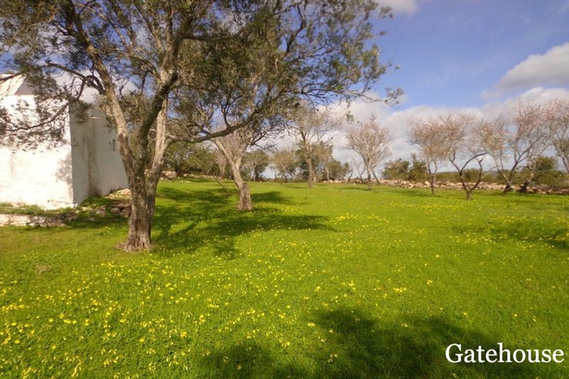 Tierra en Santa Luzía, Faraón 10834192