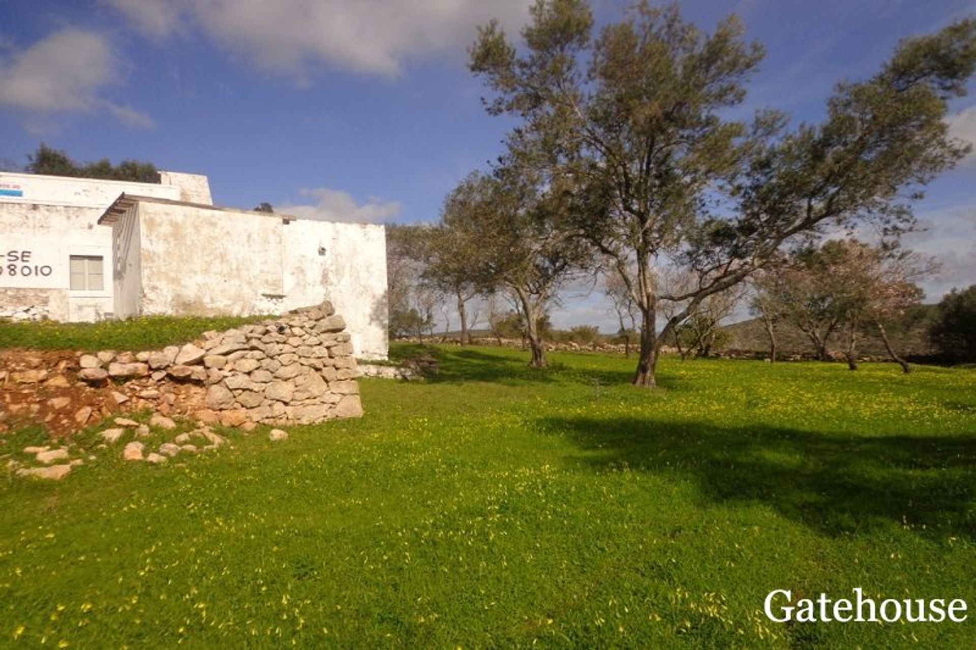 Tierra en Santa Luzía, Faraón 10834192