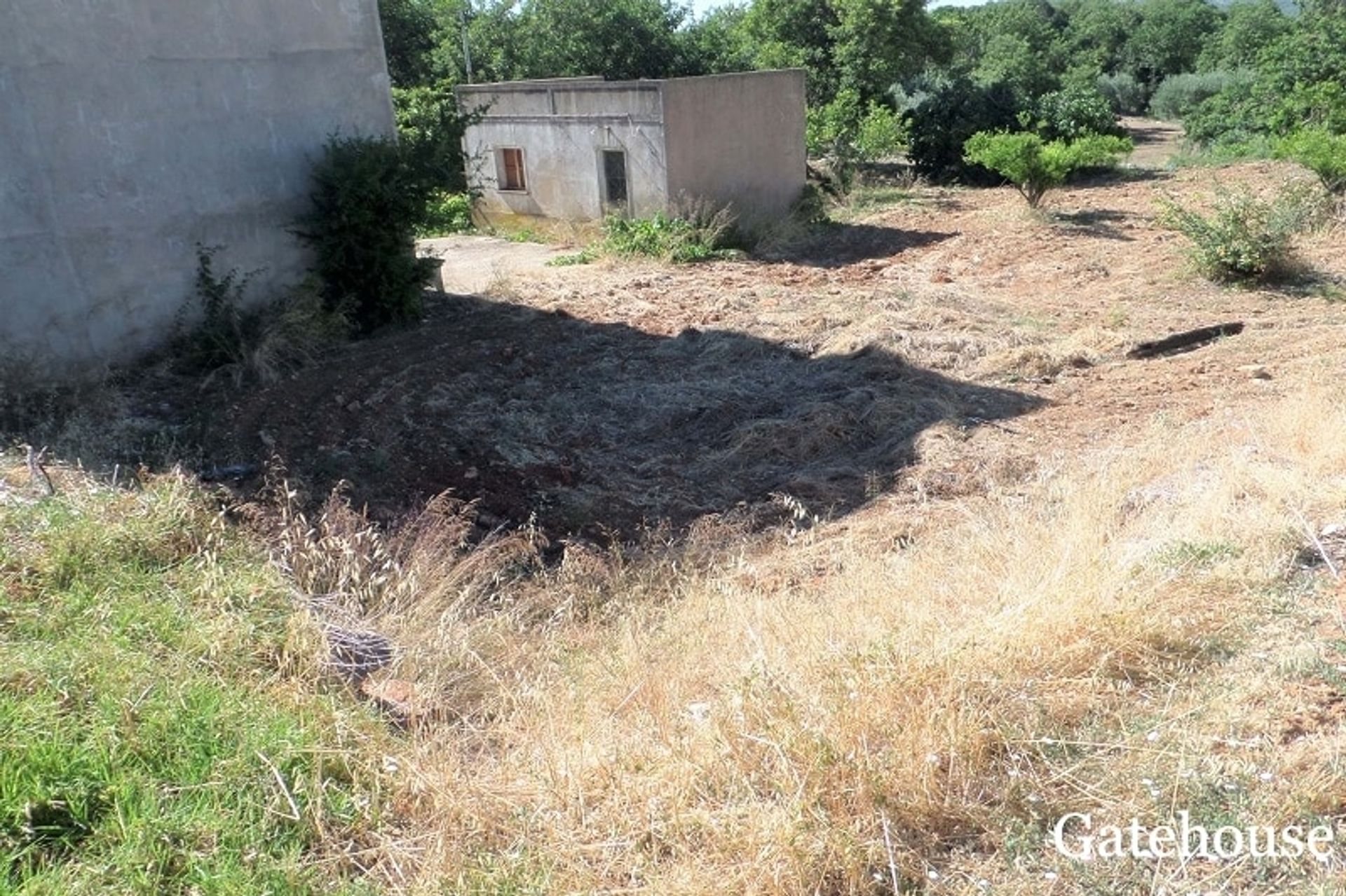 土地 在 São Brás de Alportel, Faro District 10834316