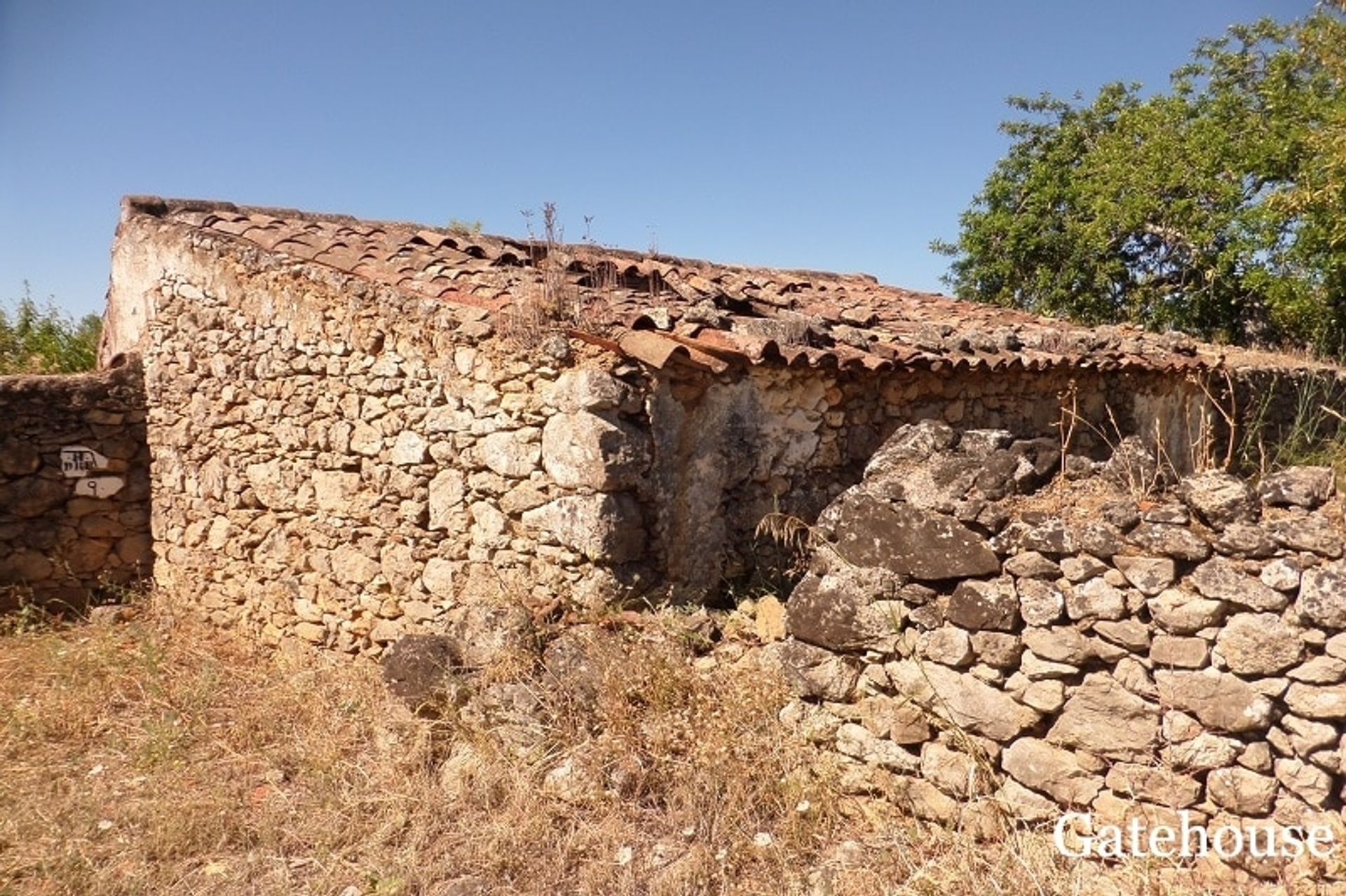 Terre dans São Brás de Alportel, Faro District 10834317