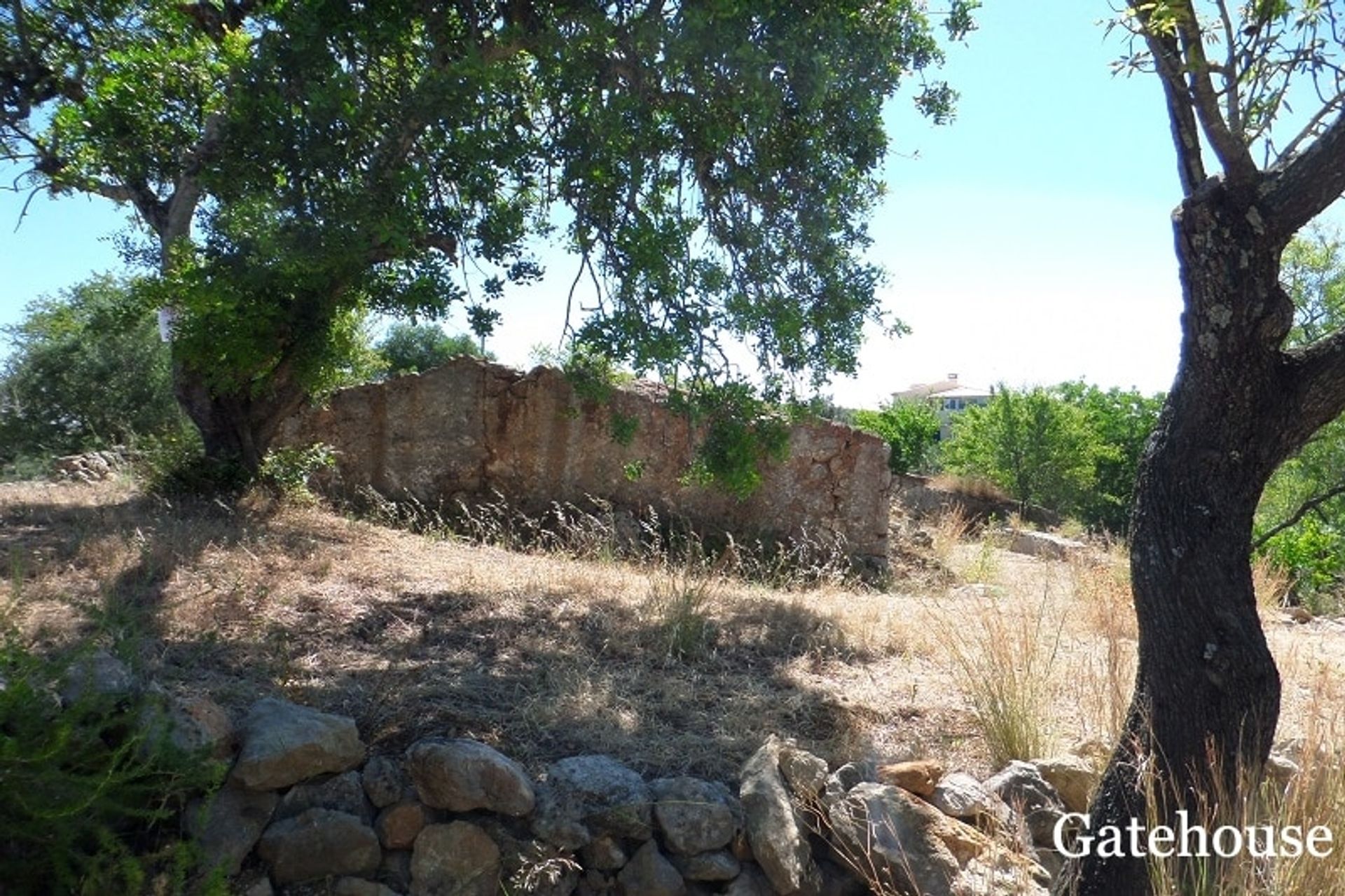 Terre dans São Brás de Alportel, Faro District 10834317