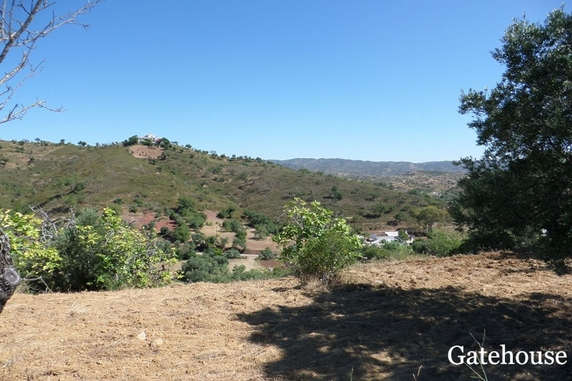 Terre dans São Brás de Alportel, Faro District 10834317