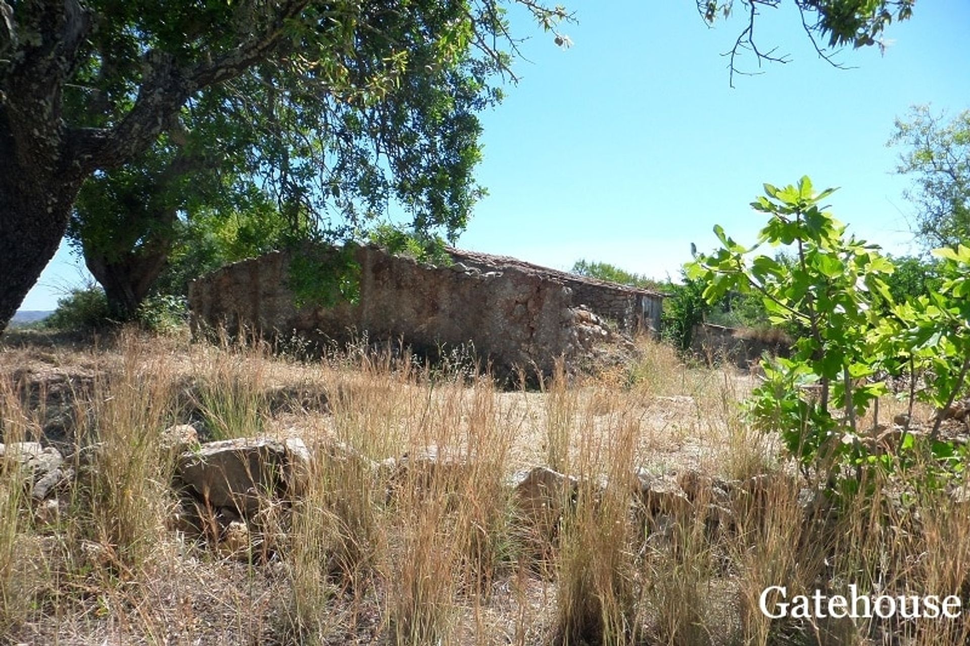 Terre dans São Brás de Alportel, Faro District 10834317