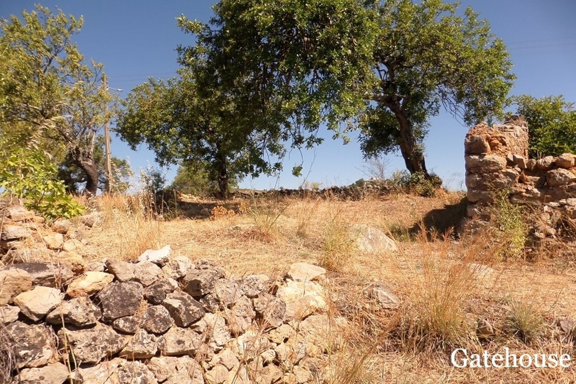 Terre dans São Brás de Alportel, Faro District 10834317