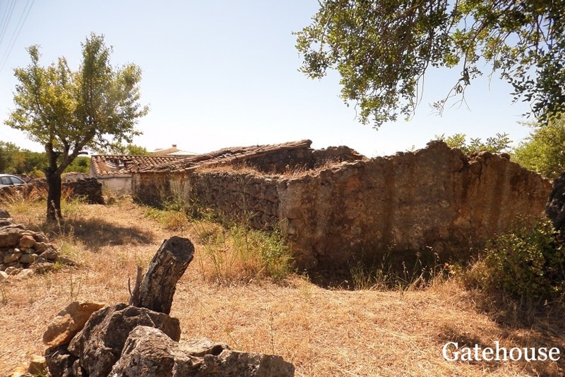 Terre dans São Brás de Alportel, Faro District 10834317