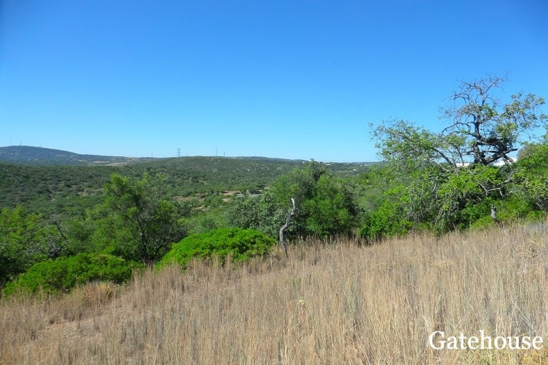 الأرض في São Brás de Alportel, Faro District 10834317