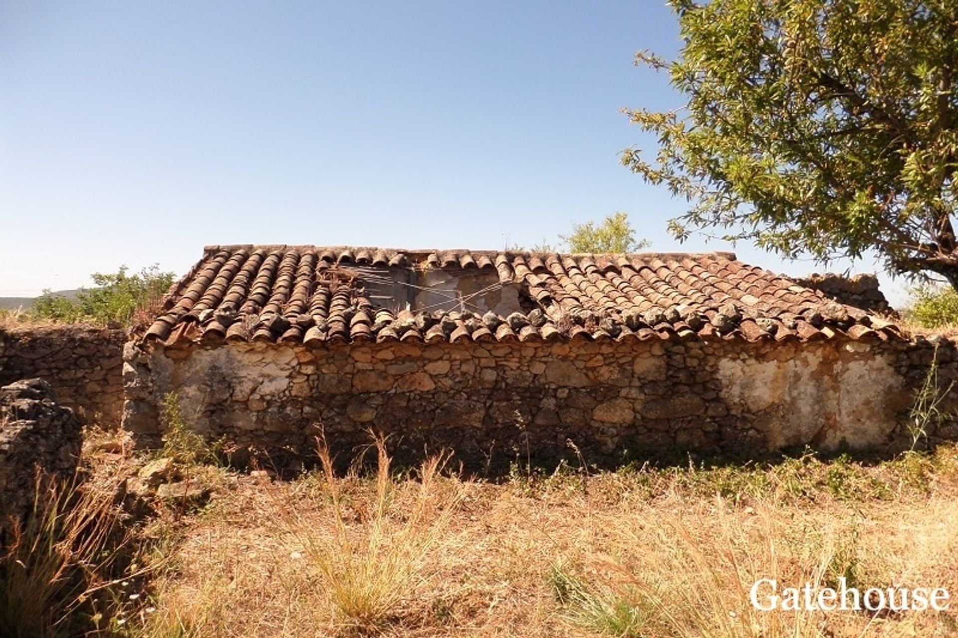 Terre dans São Brás de Alportel, Faro District 10834317