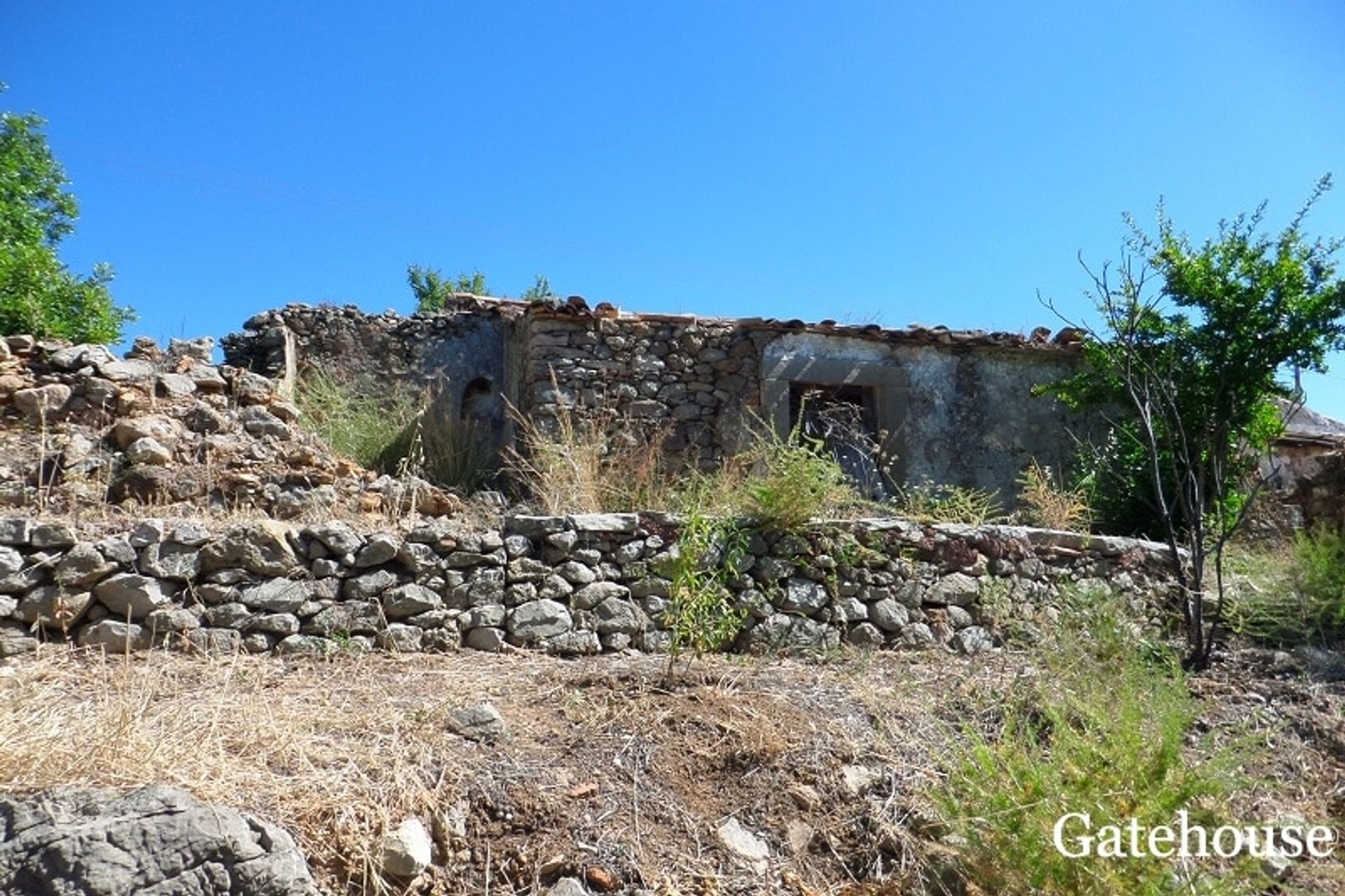 Terre dans São Brás de Alportel, Faro District 10834317