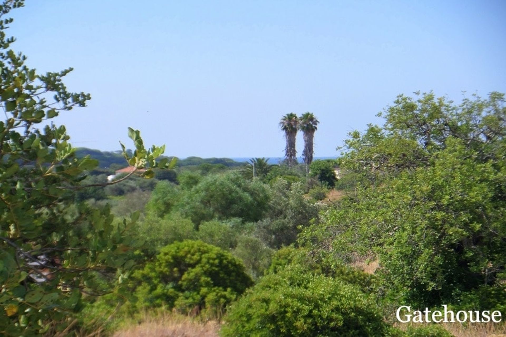 Land i Quarteira, Faro District 10834329