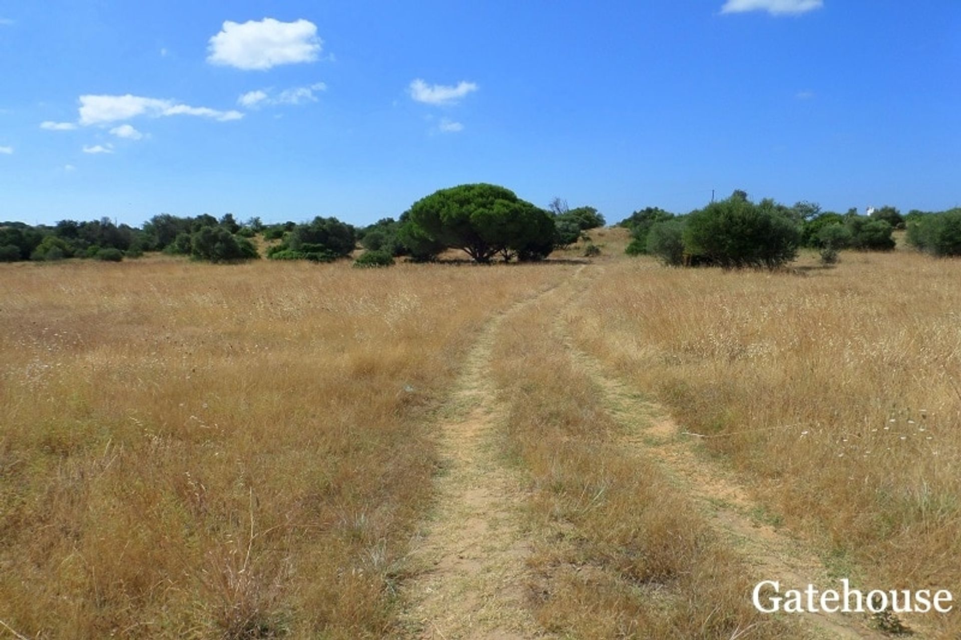 Land i Quarteira, Faro District 10834329