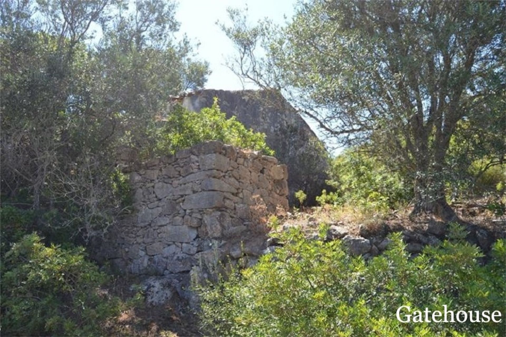 ארץ ב Faro, Faro District 10834330