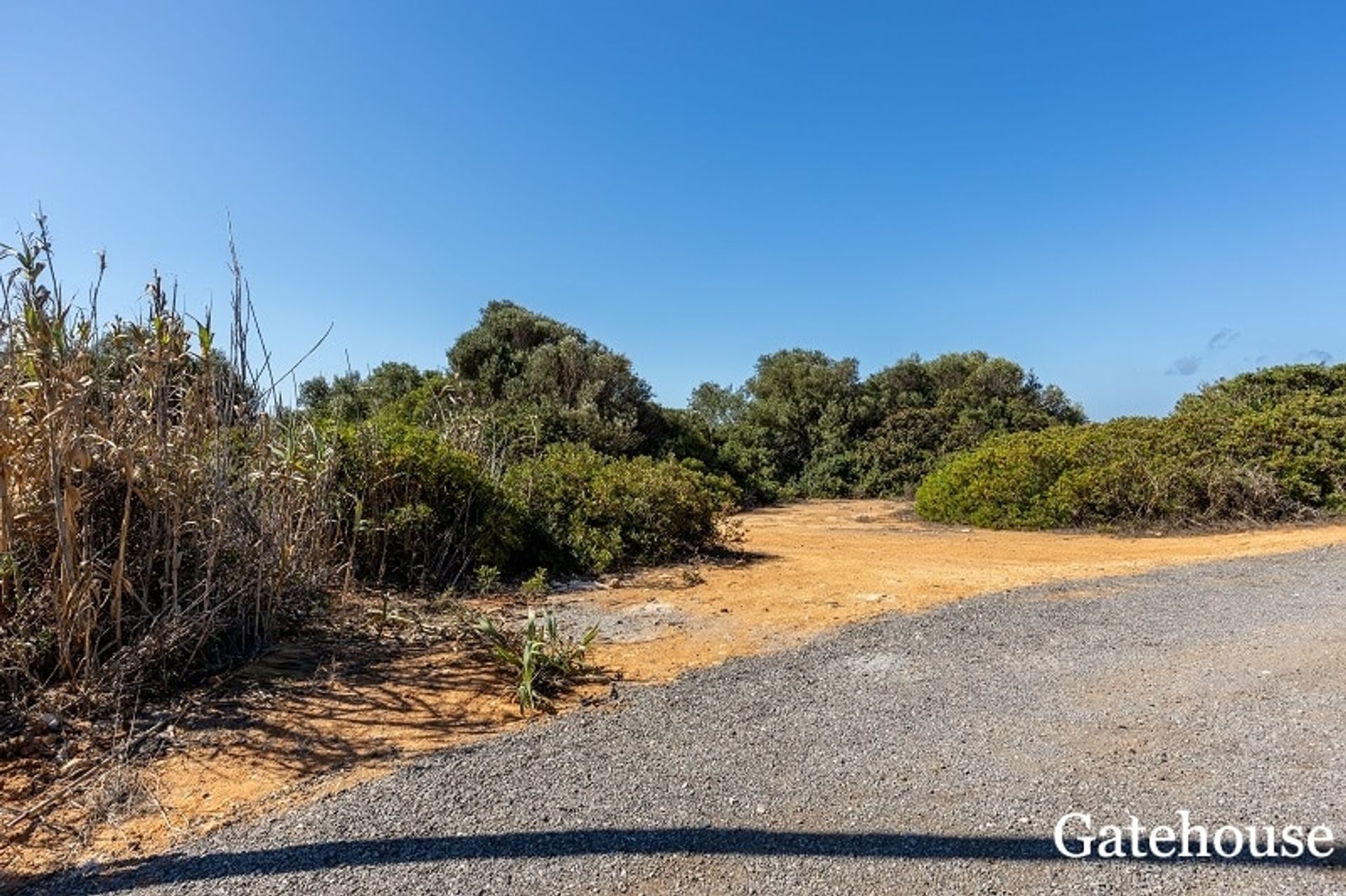 Terre dans Sagres, Faro 10834354