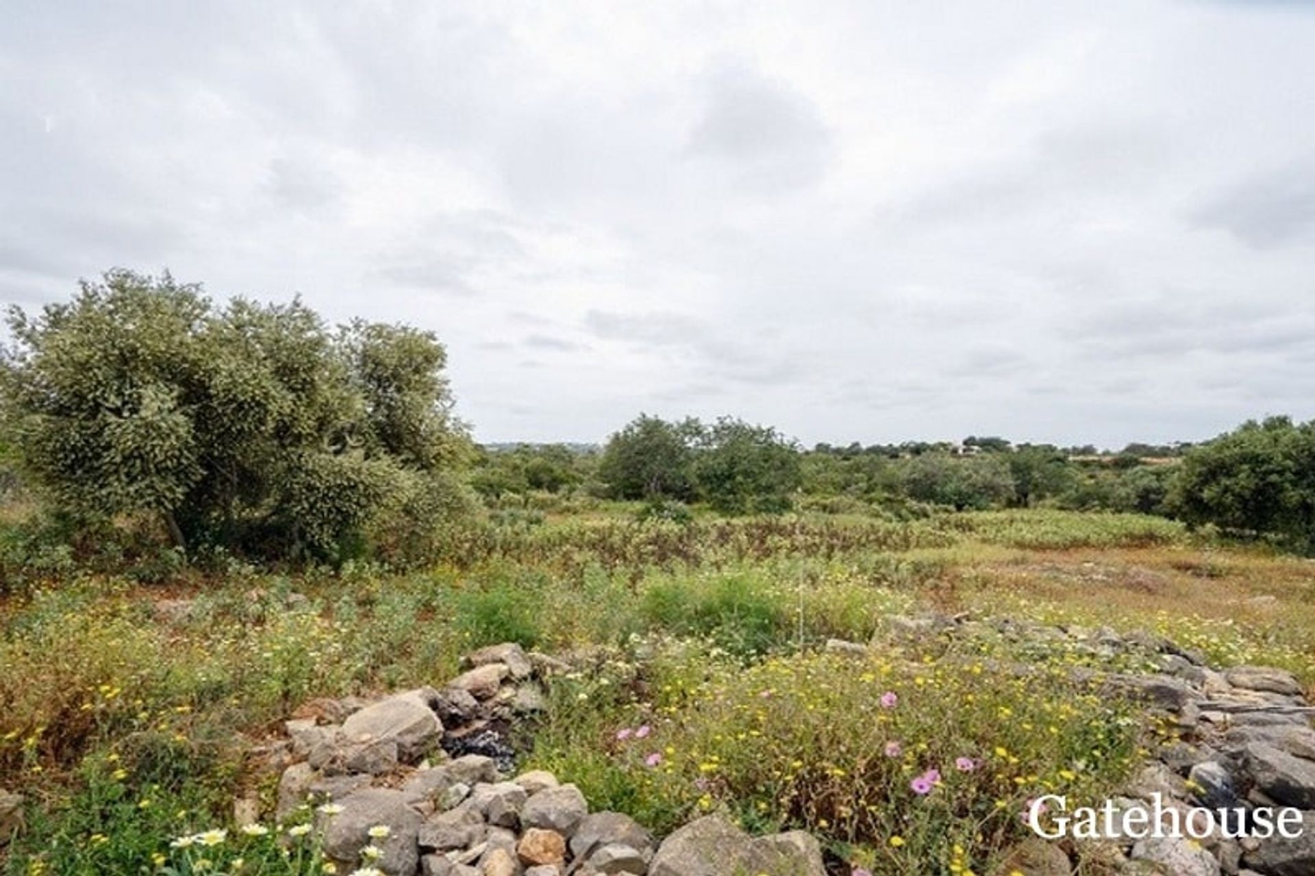 Land in Estoi, Faro District 10834473