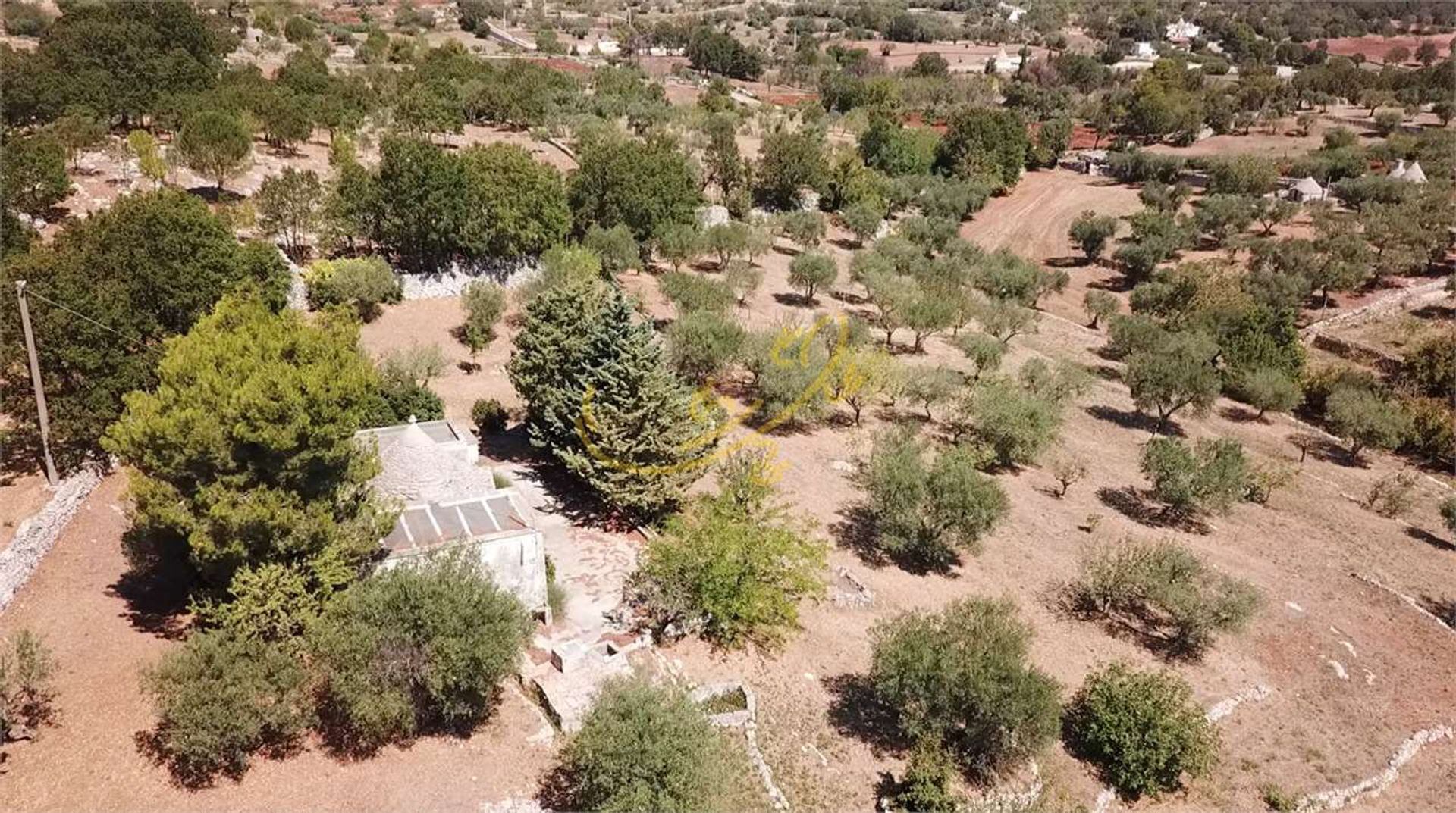 Lain di Alberobello, Puglia 10835912