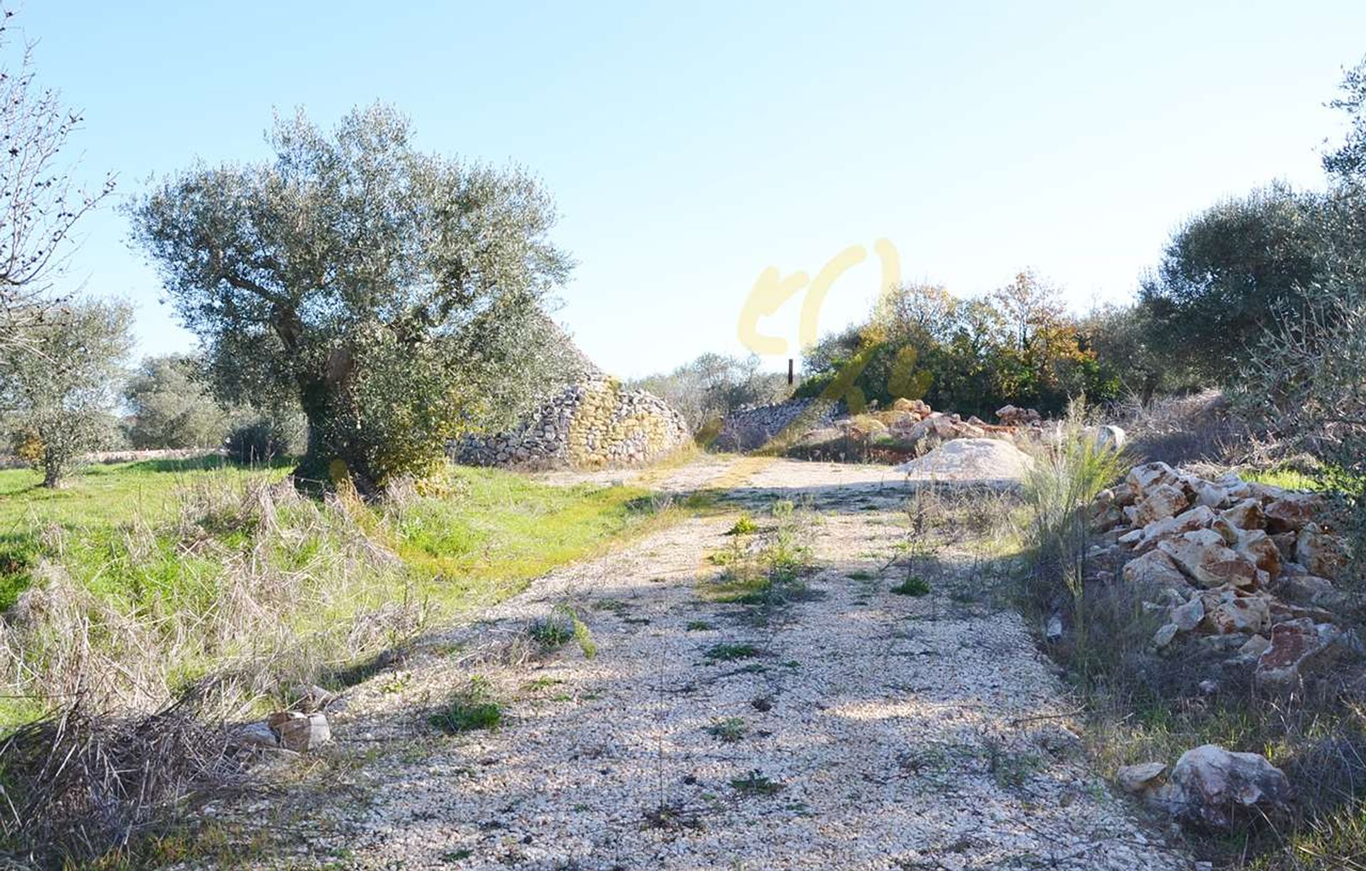 Lain di Castellana Grotte, Puglia 10835947