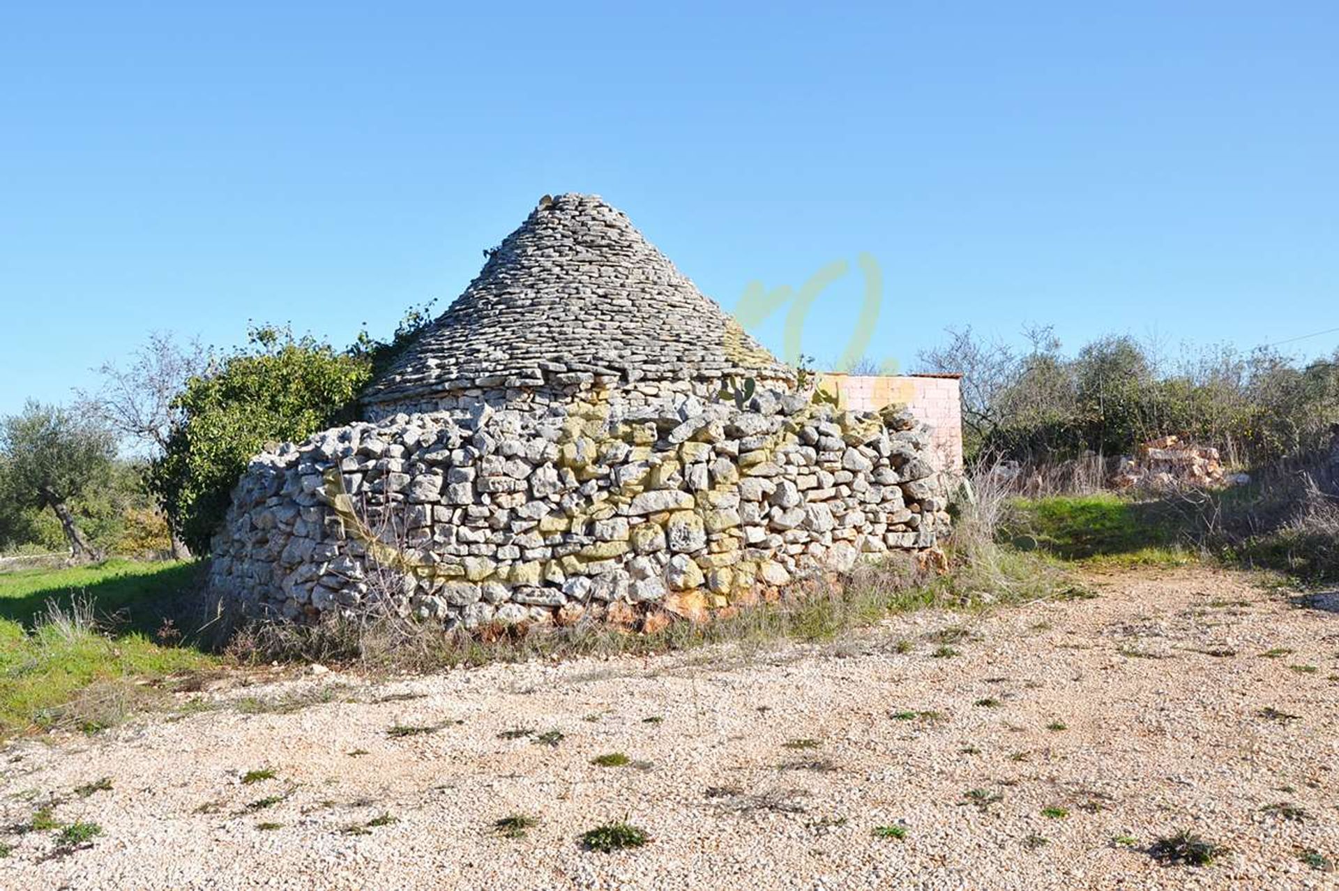 Altro nel Castellana Grotte, Puglia 10835947