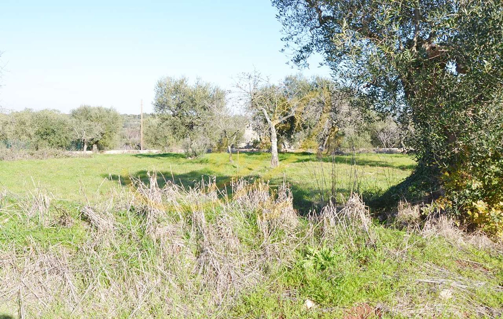 Otro en Gruta Castellana, Apulia 10835947