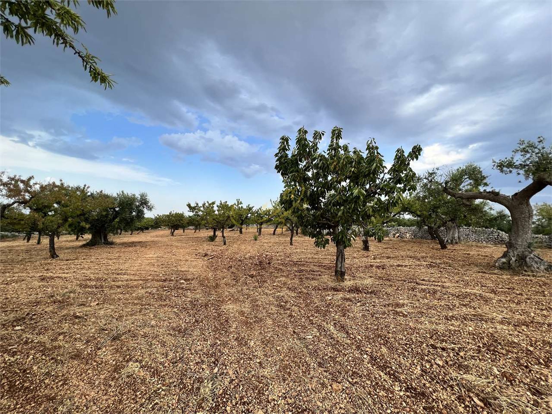 casa no Gruta de Castellana, Apúlia 10835954