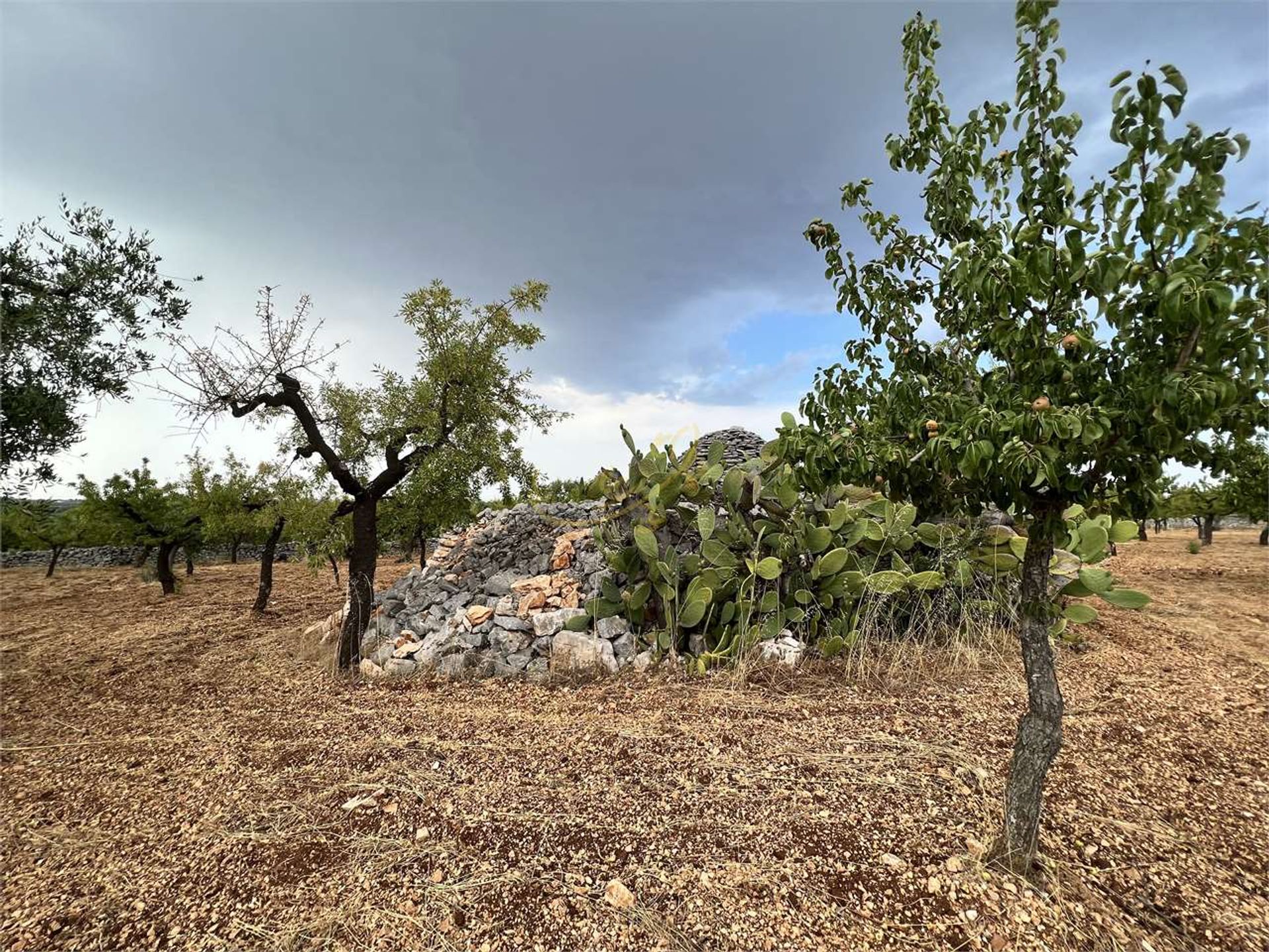 Hus i Castellana Grotte, Apulia 10835954