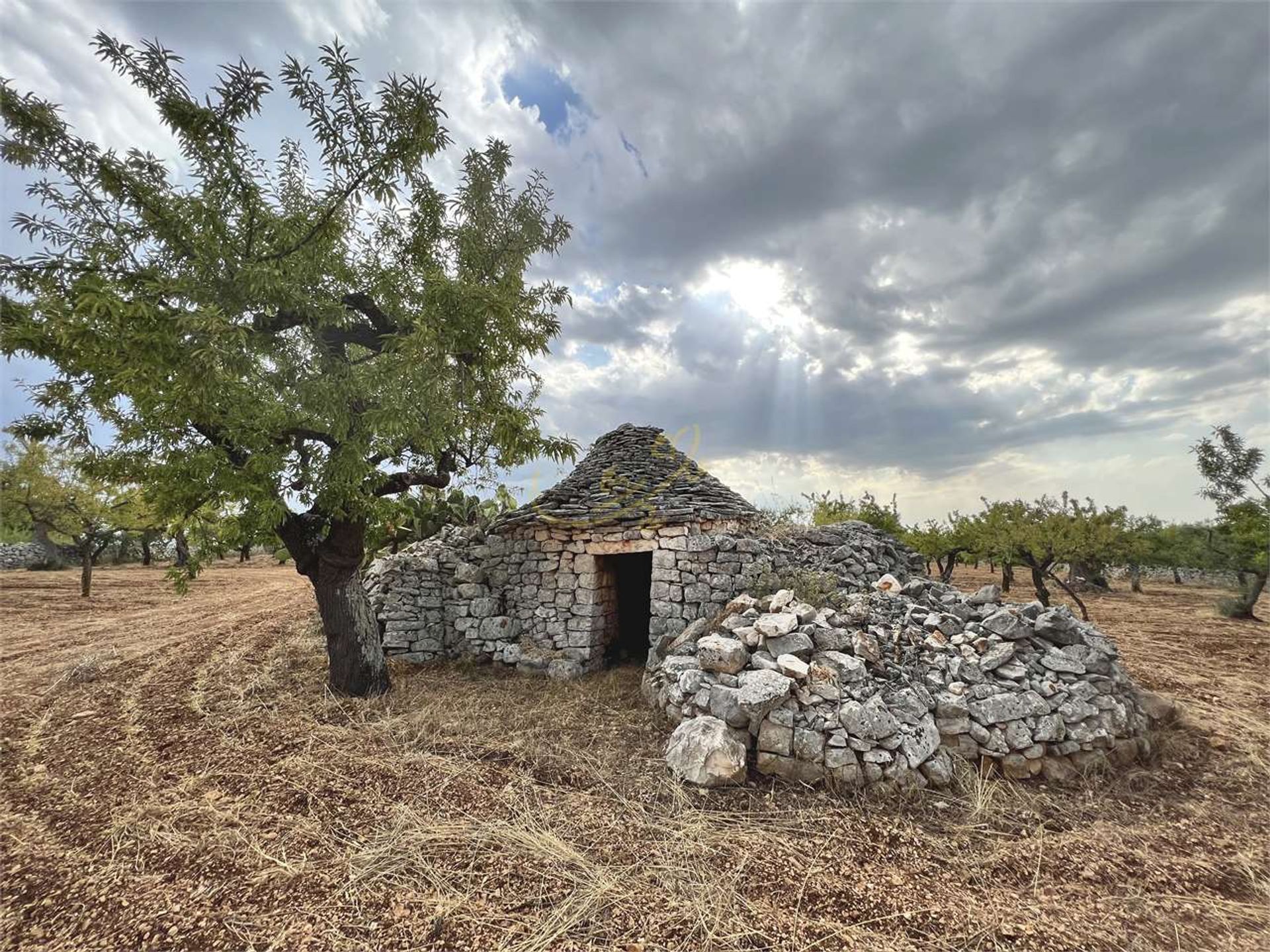 casa no Gruta de Castellana, Apúlia 10835954