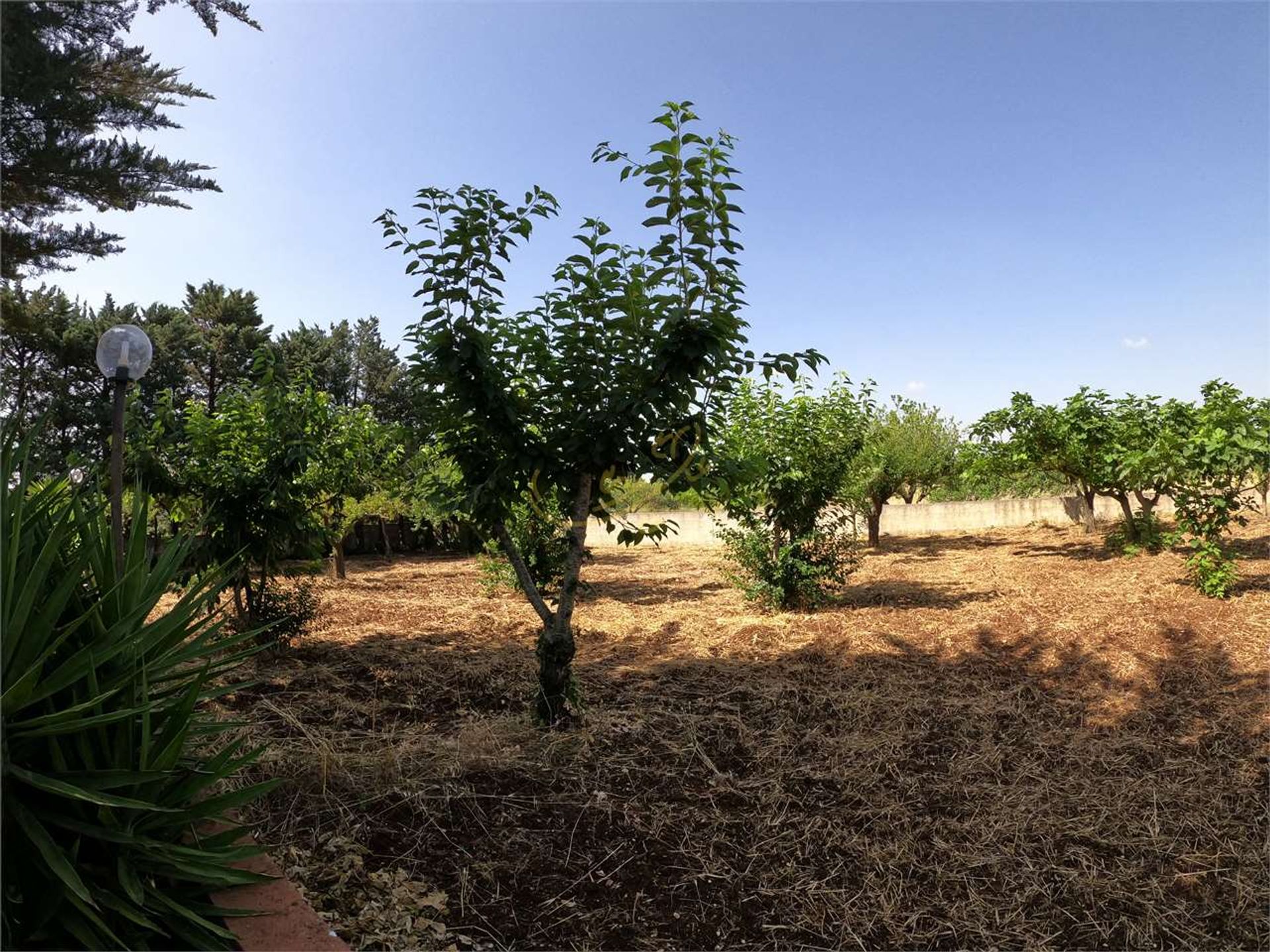 Talo sisään Martina Franca, Apulia 10835959