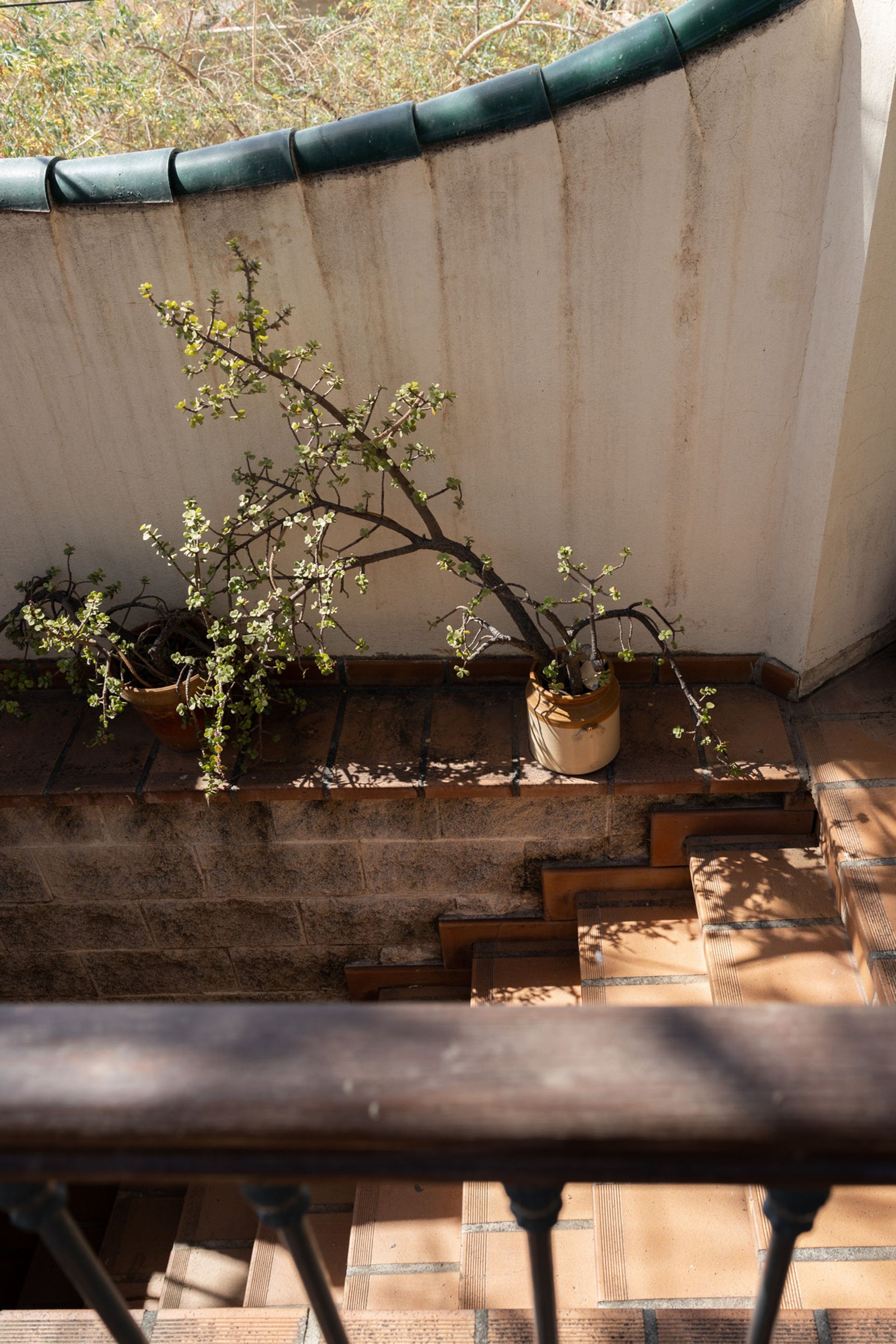 Talo sisään , Andalusia 10836125