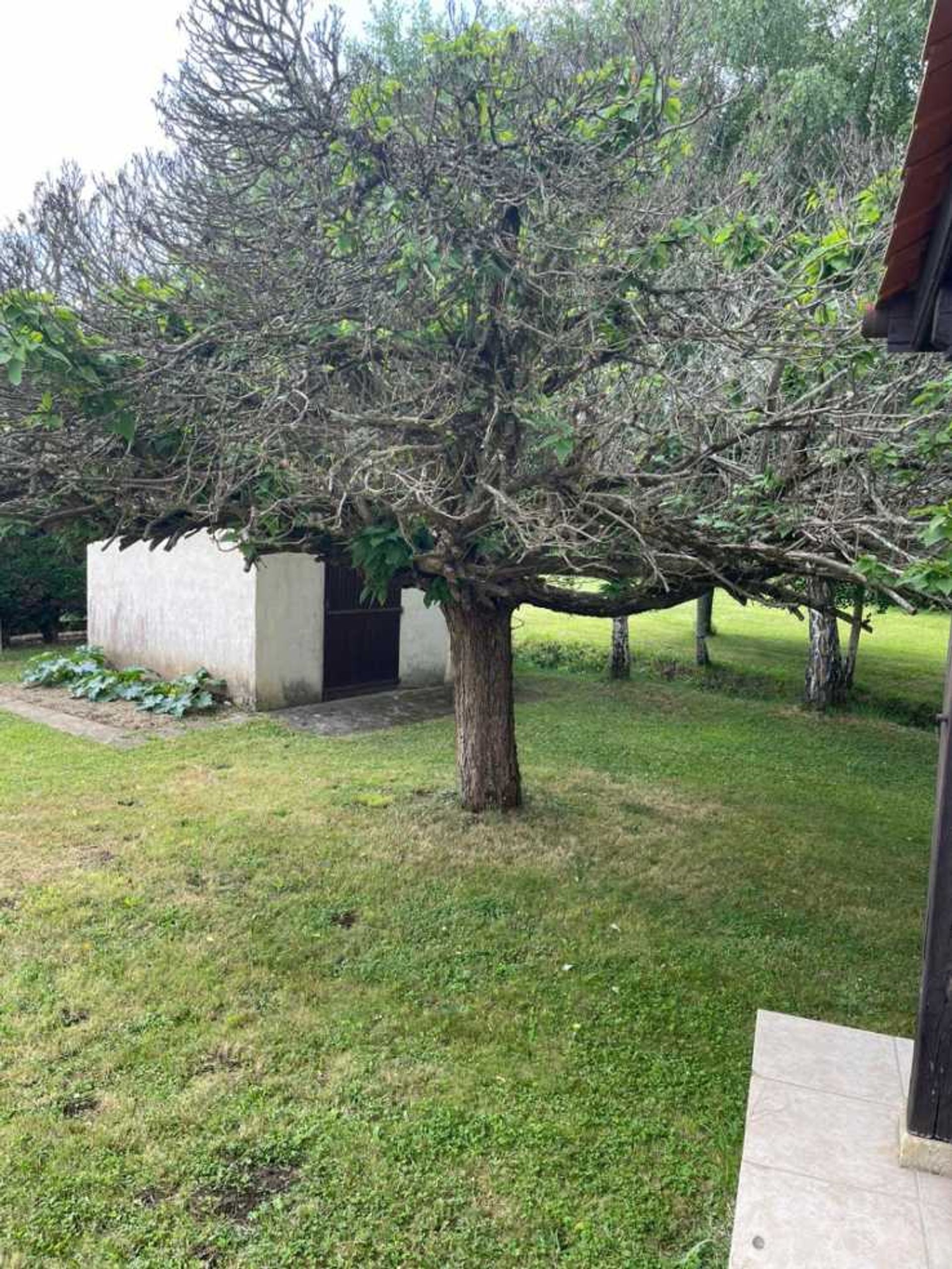 Hus i Saint-Cyprien, Nouvelle-Aquitaine 10836157