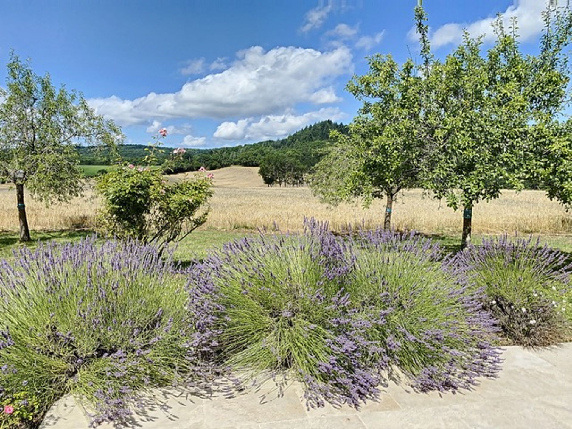 rumah dalam Cordes-sur-Ciel, Occitanie 10836439