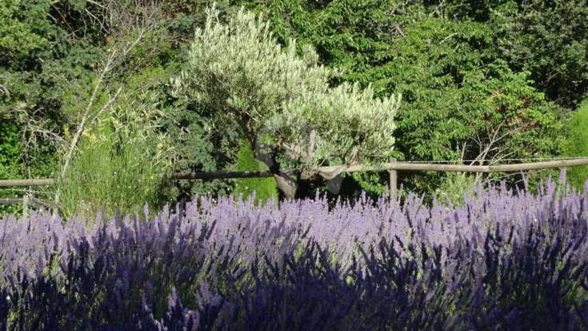 Hus i Apt, Provence-Alpes-Côte d'Azur 10836570