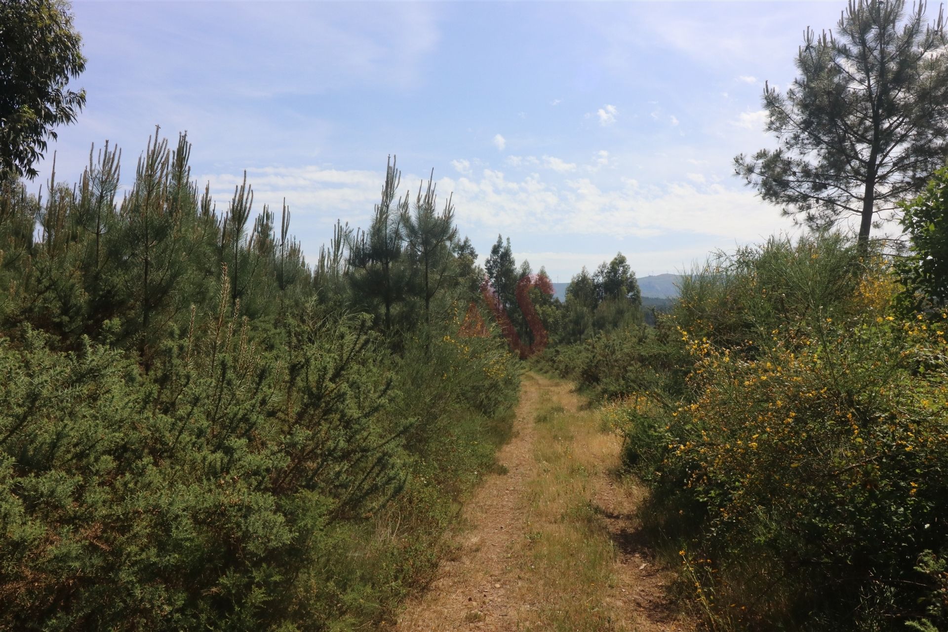 Terra no Monção, Viana do Castelo District 10836716