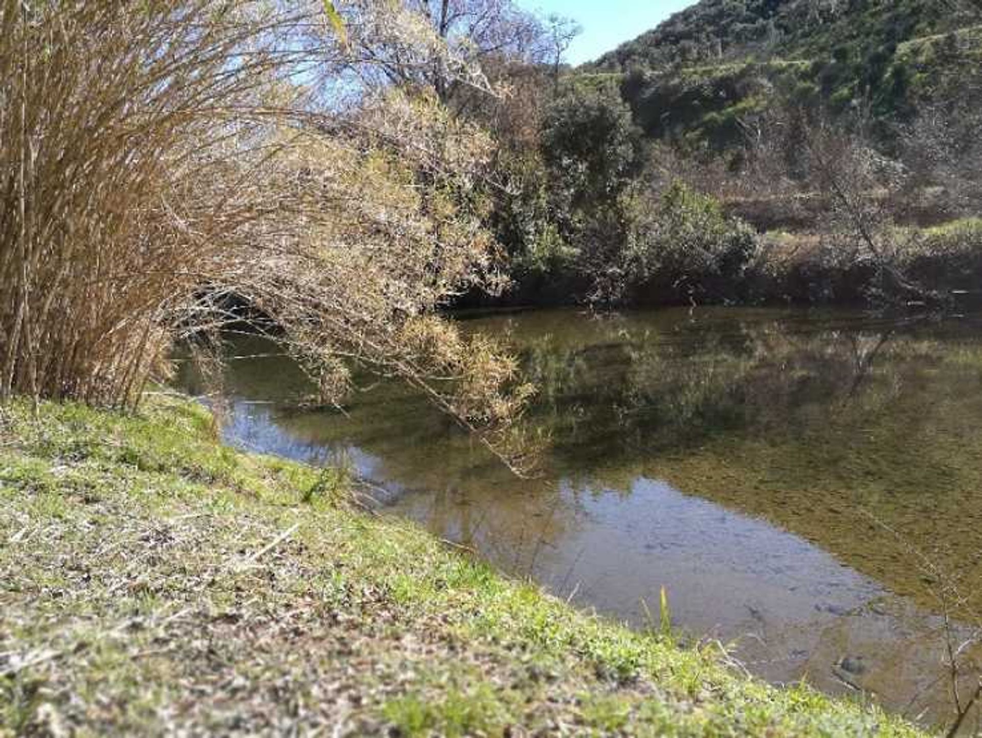 σπίτι σε Bédarieux, Occitanie 10836765