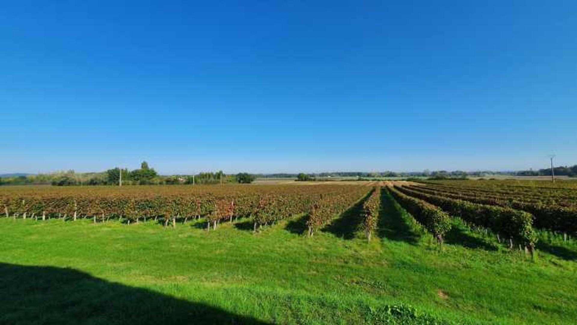 Hus i Bergerac, Nouvelle-Aquitaine 10836791