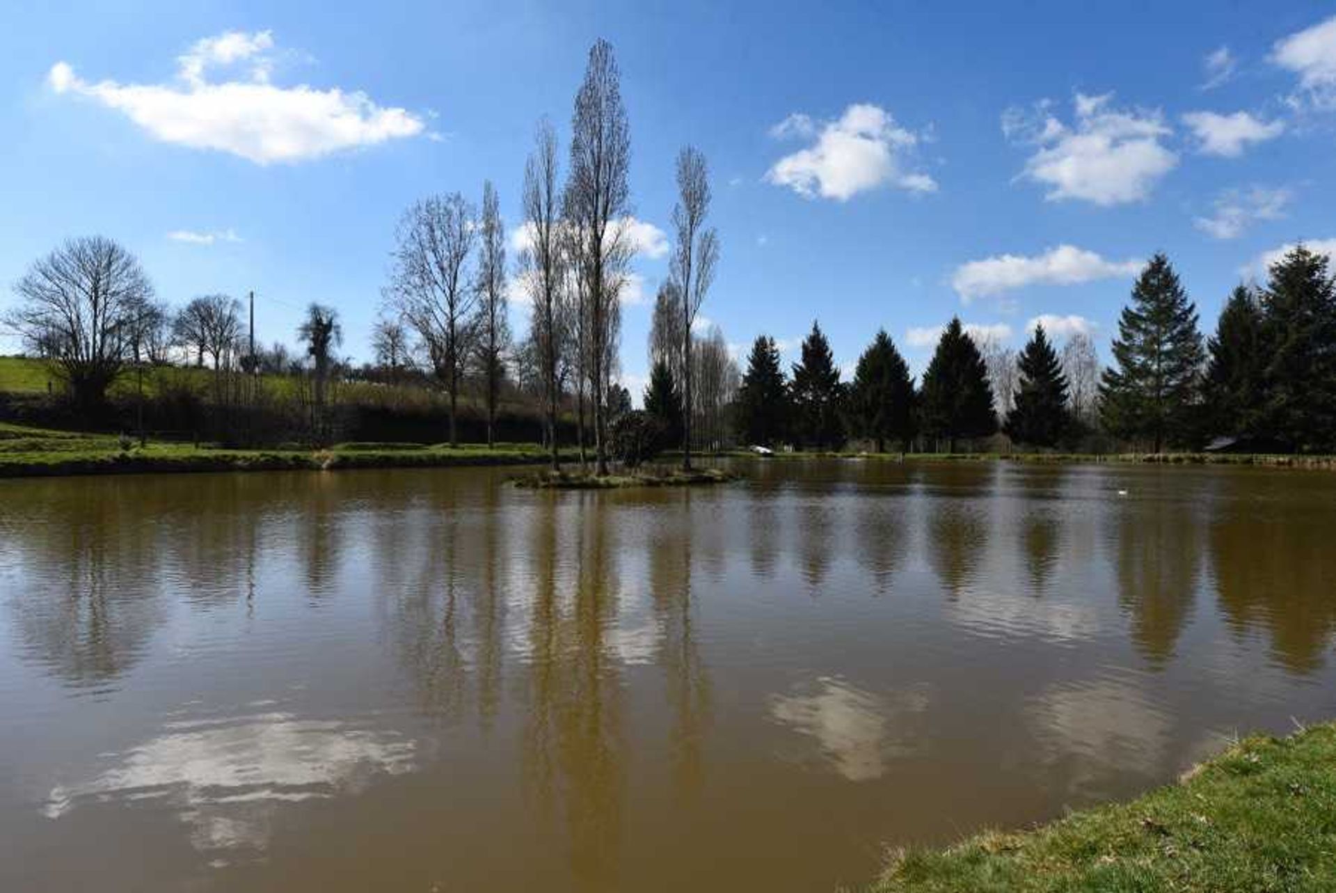 Altro nel Sainte-Marie-du-Bois, Normandie 10836911