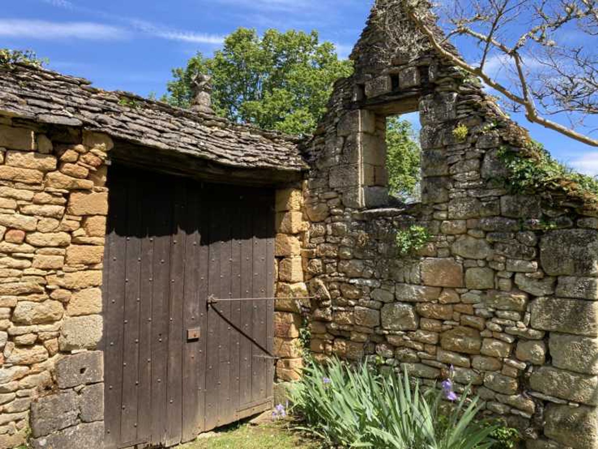 rumah dalam Les Eyzies, Nouvelle-Aquitaine 10836986