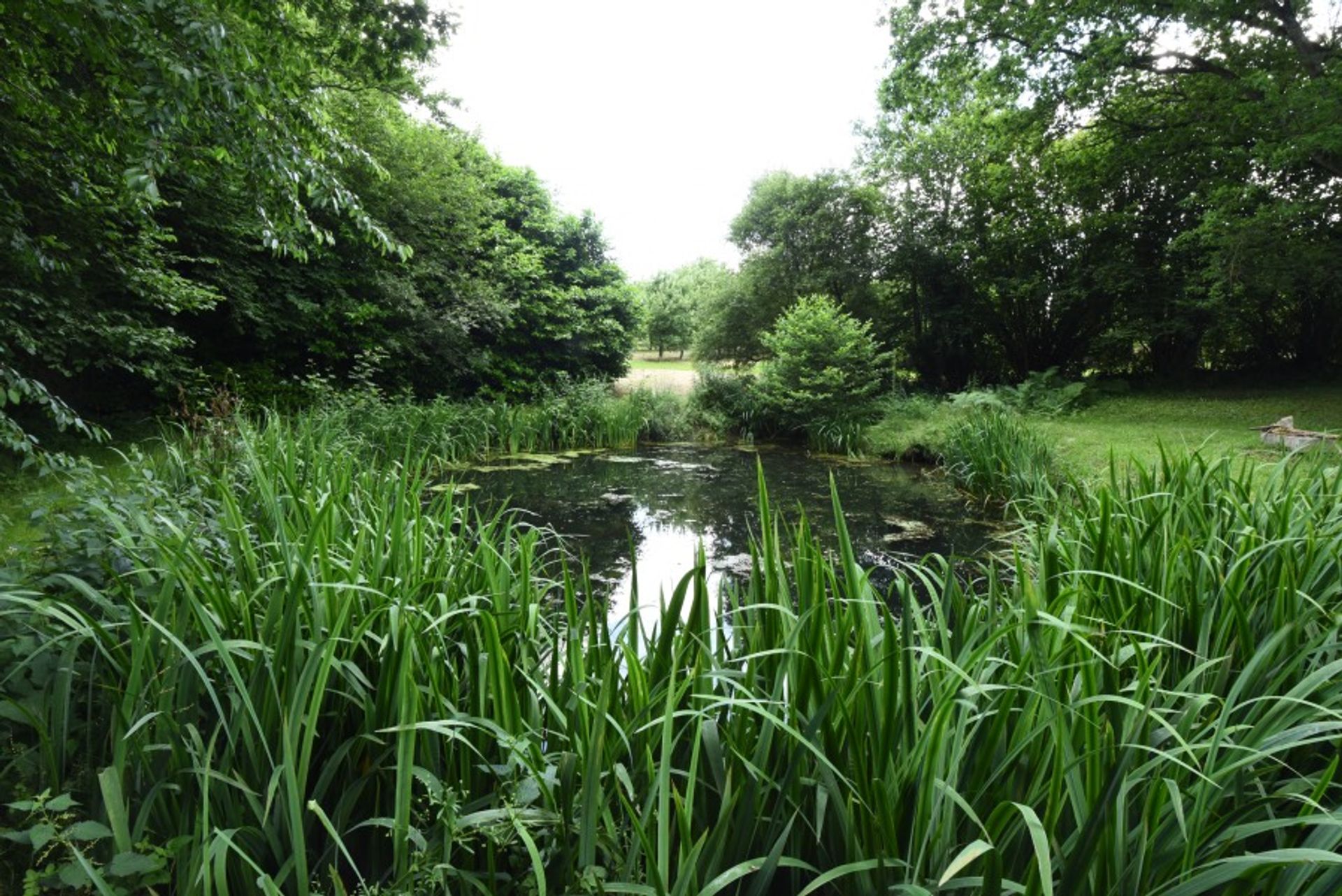 σπίτι σε Pont-Ecrepin, Normandie 10836992