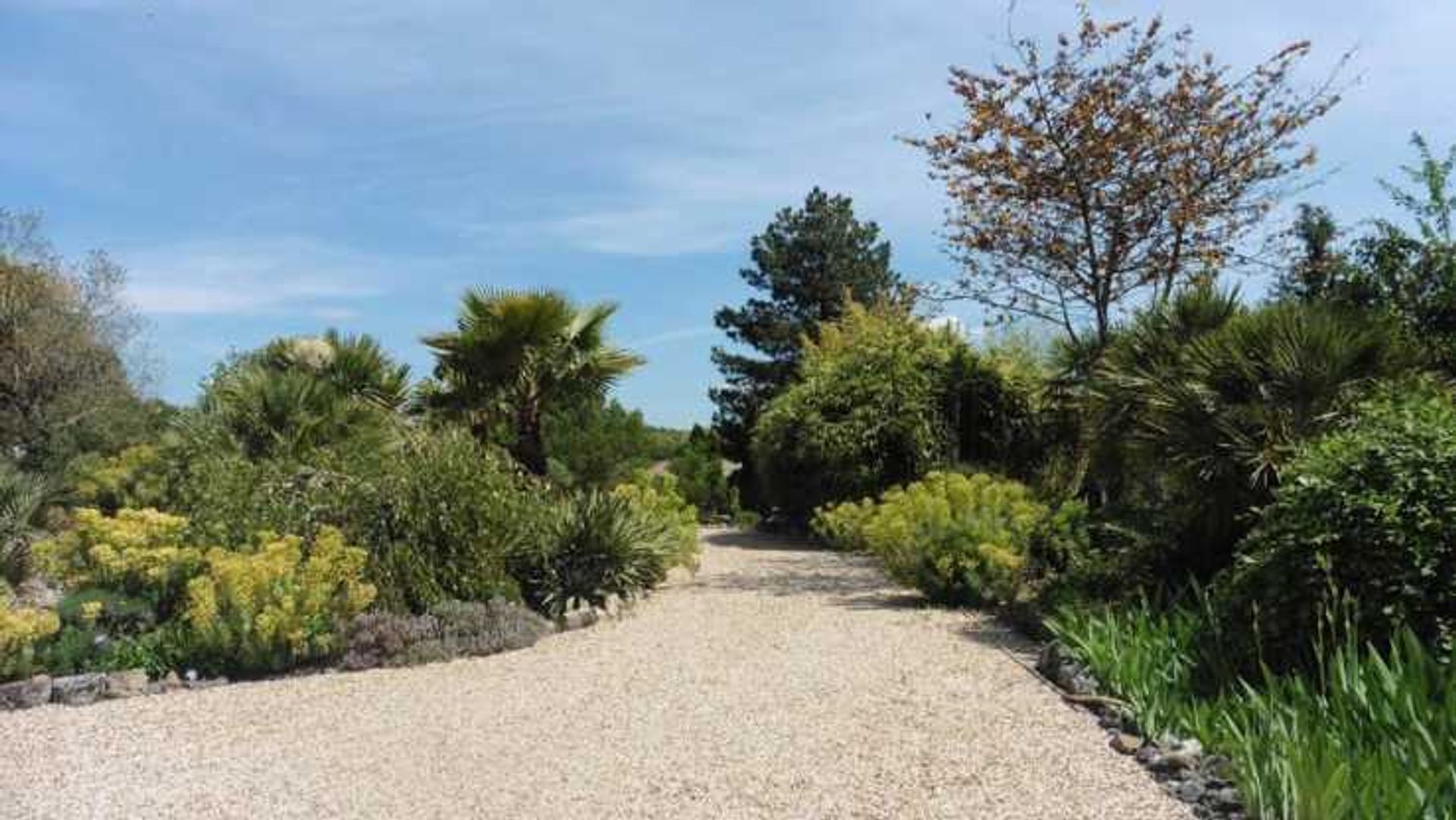 Rumah di Meschers-sur-Gironde, Nouvelle-Aquitaine 10837091