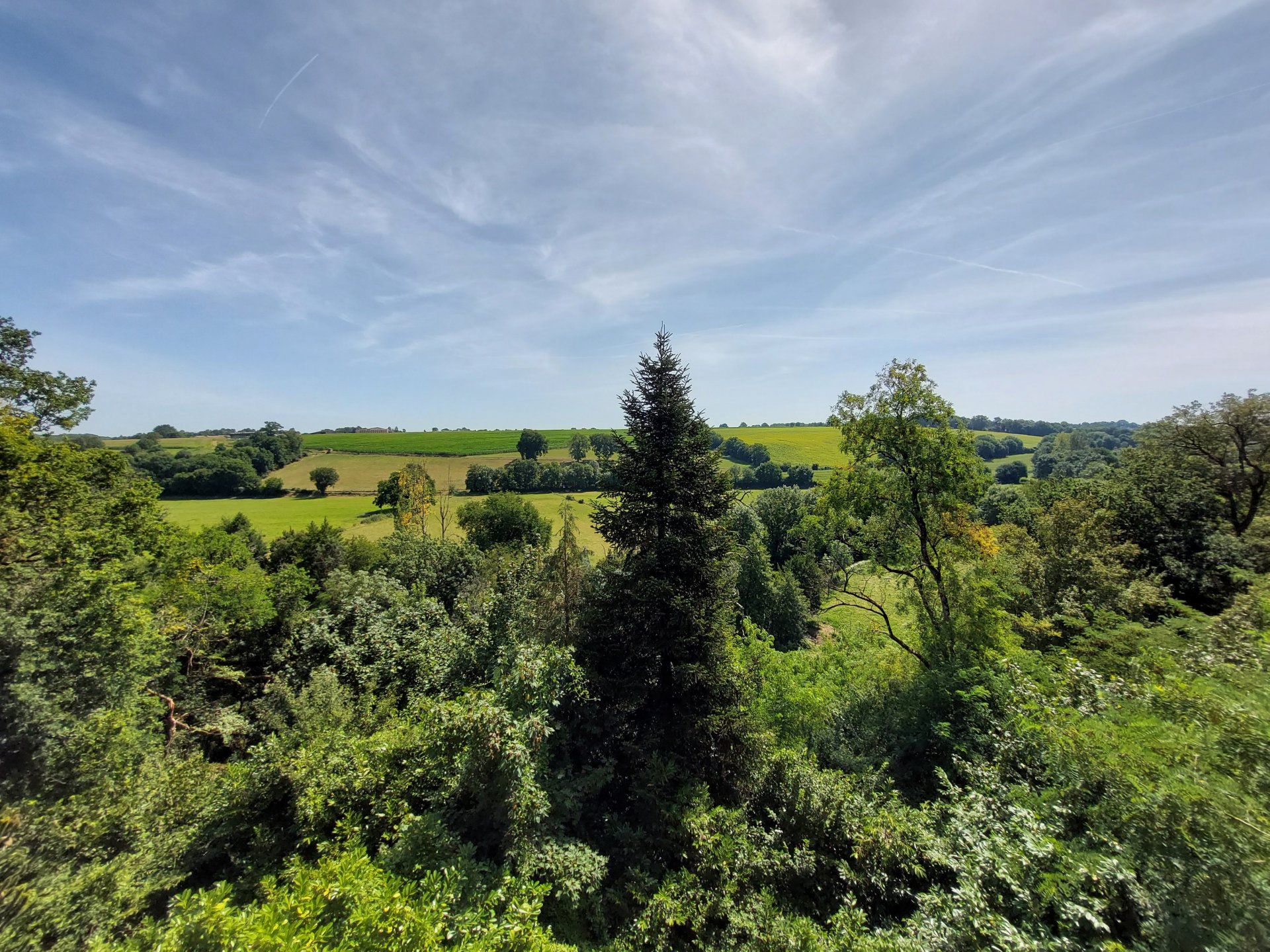 Annen i Savigné, Nouvelle-Aquitaine 10837277