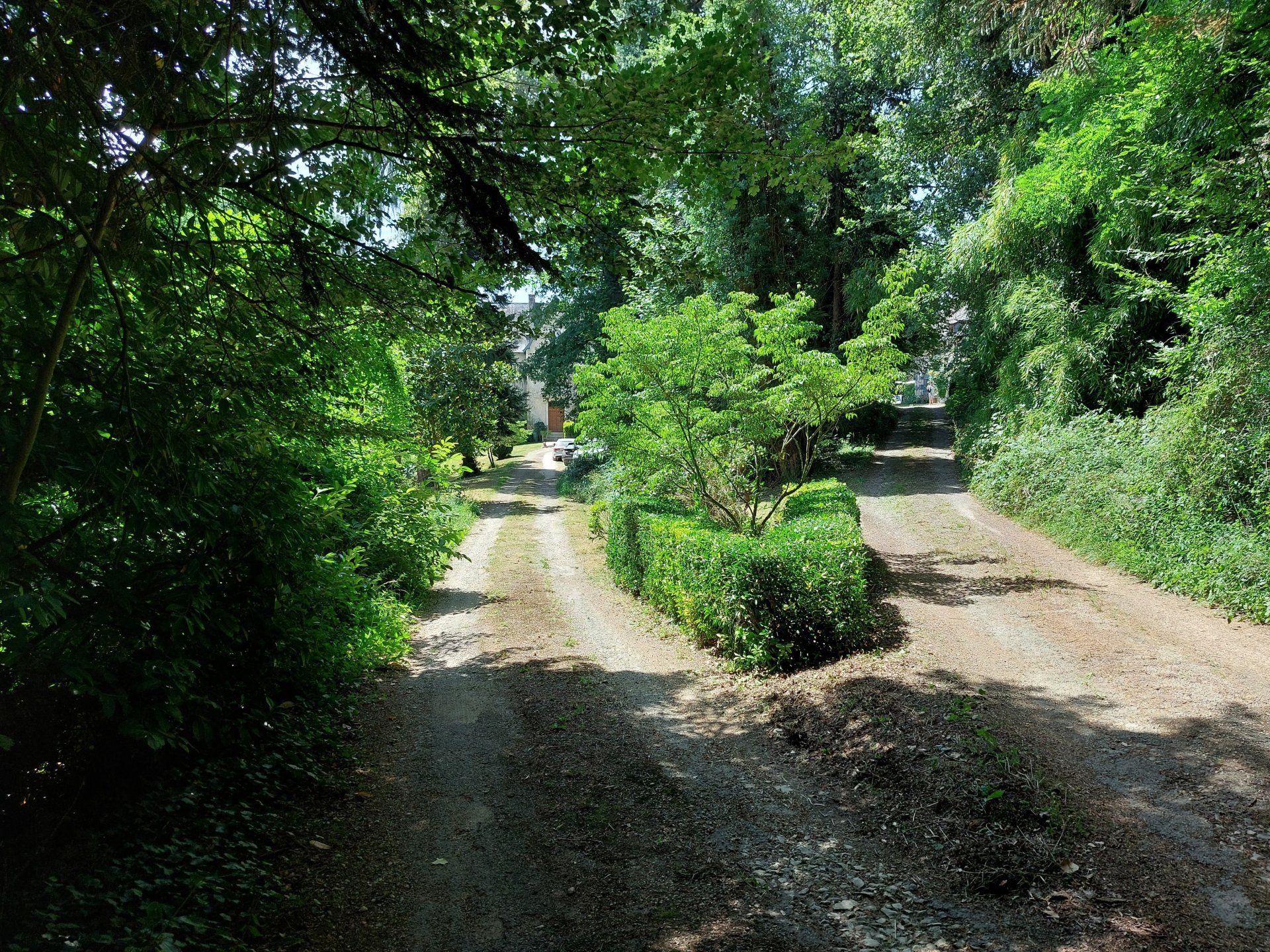 Lain di Savigné, Nouvelle-Aquitaine 10837277